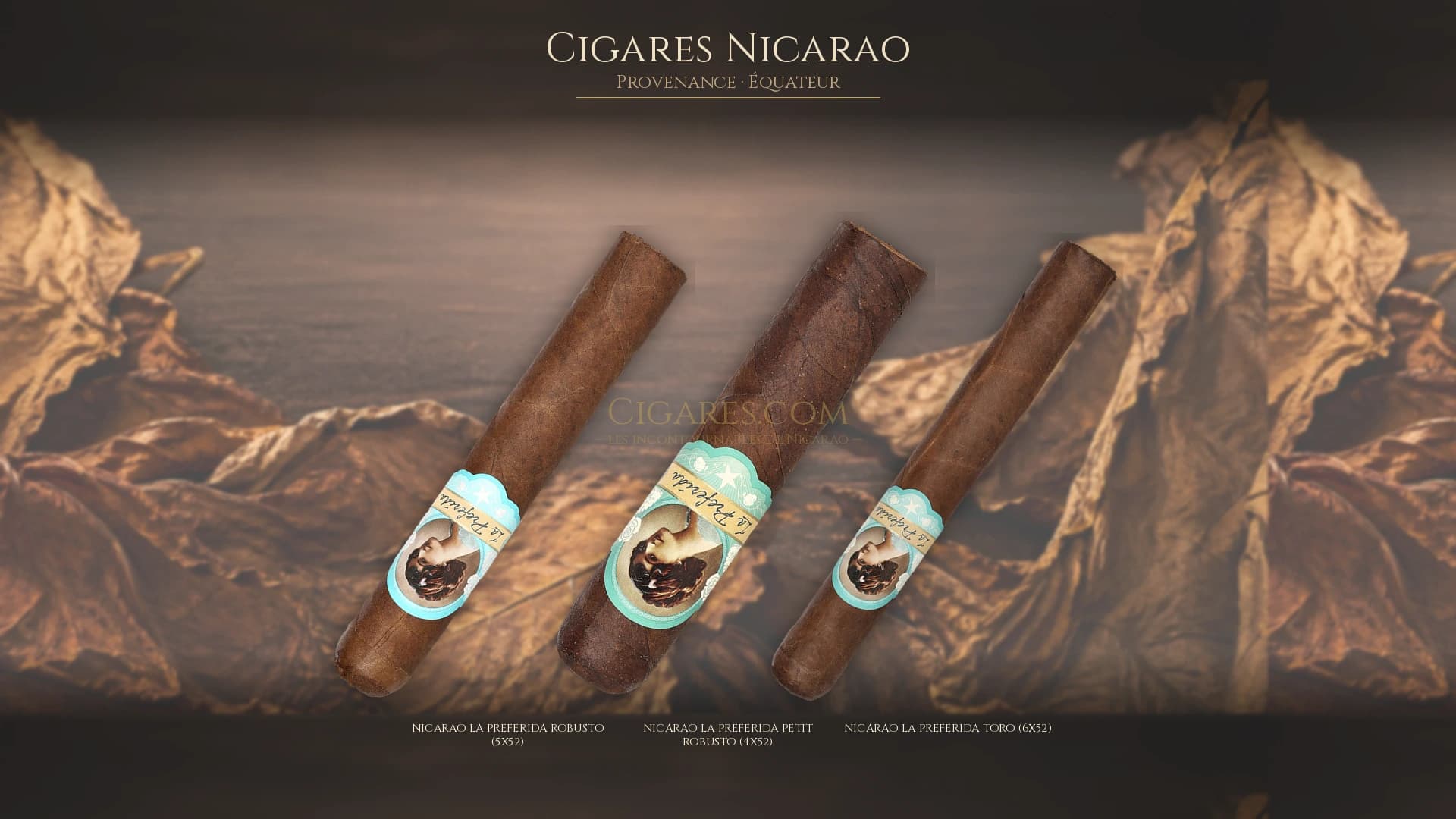Top cigares Nicarao Equateur — les plus populaires
