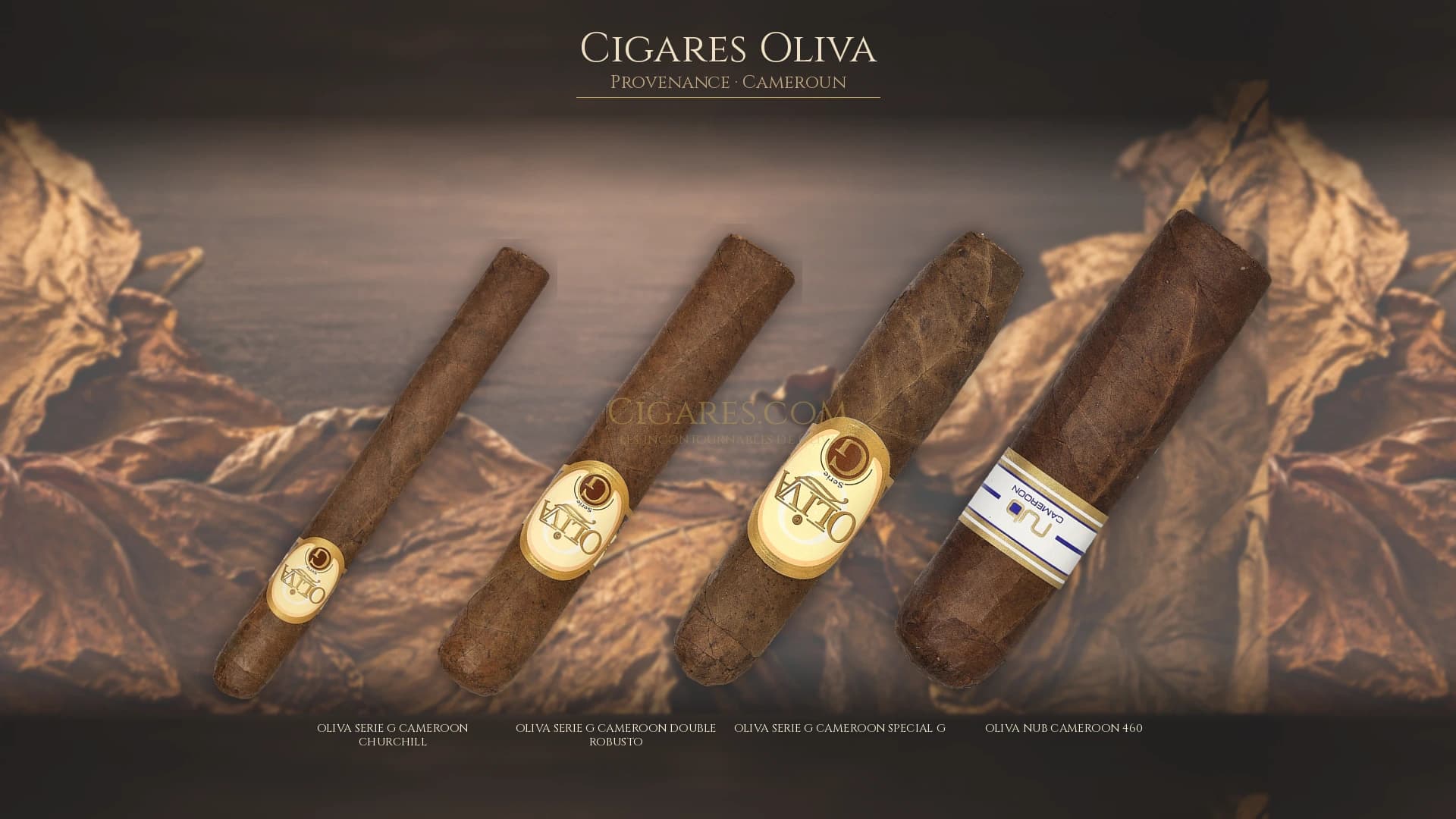 Top cigares Oliva Cameroun — les plus populaires