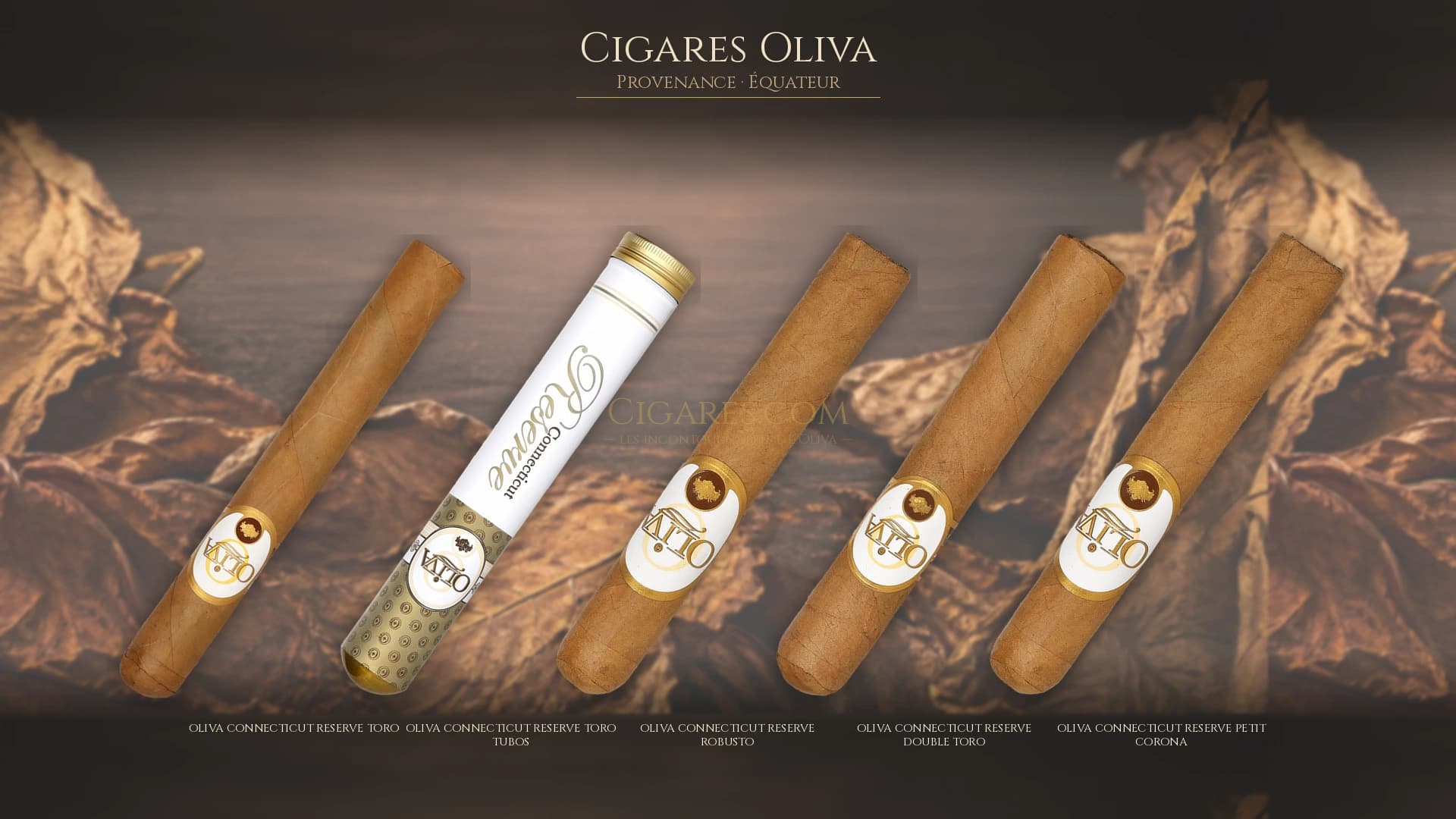 Top cigares Oliva Equateur — les plus populaires