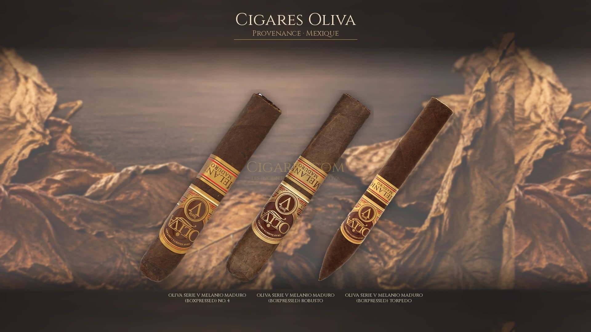 Top cigares Oliva Mexique — les plus populaires