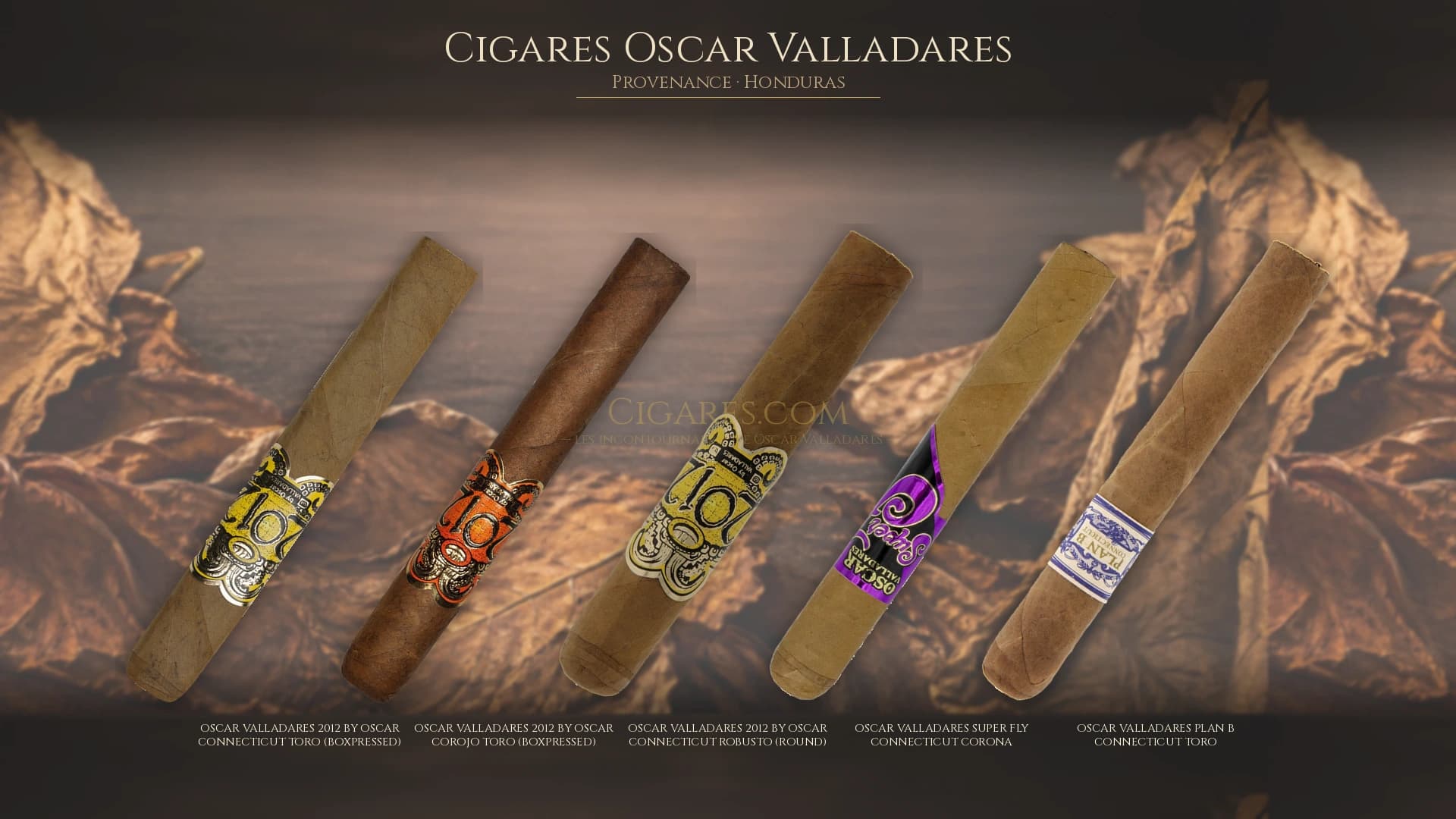 Top cigares Oscar Valladares Honduras — les plus populaires