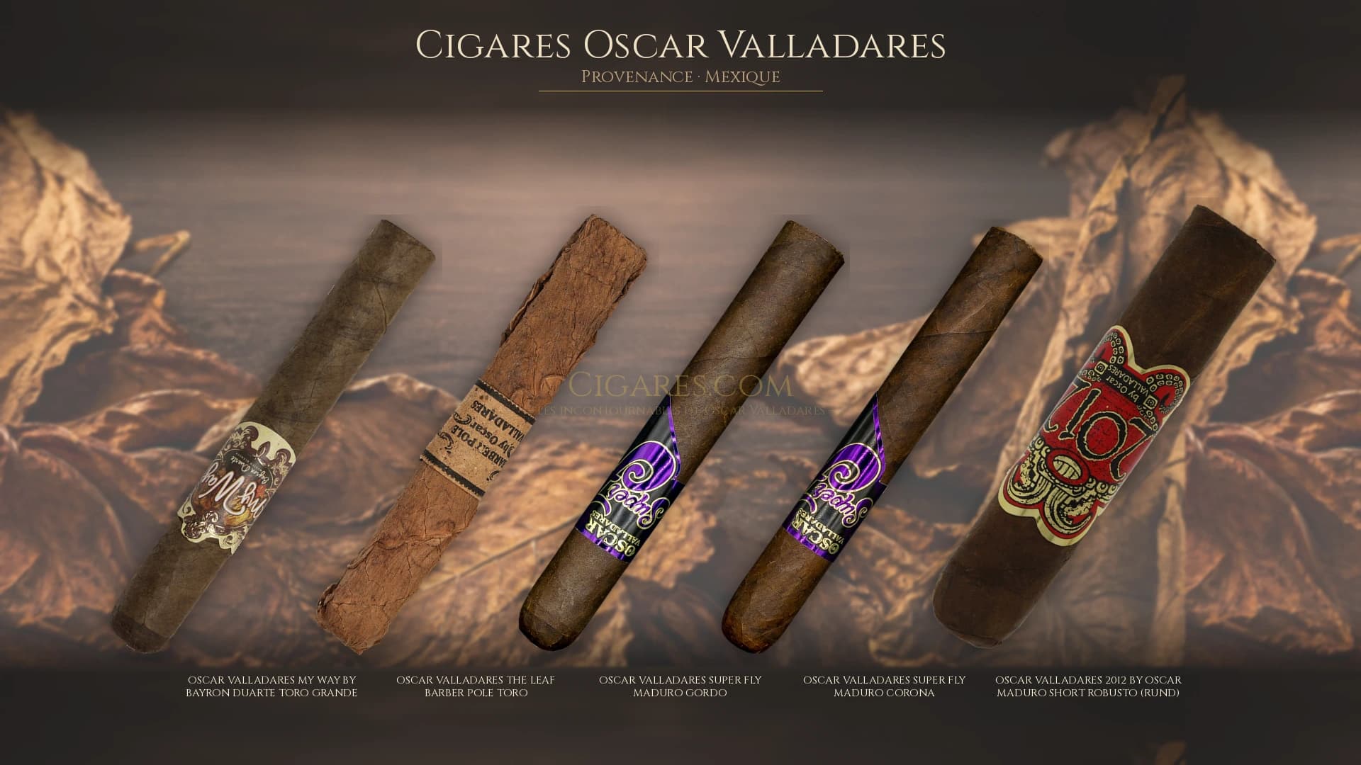 Top cigares Oscar Valladares Mexique — les plus populaires