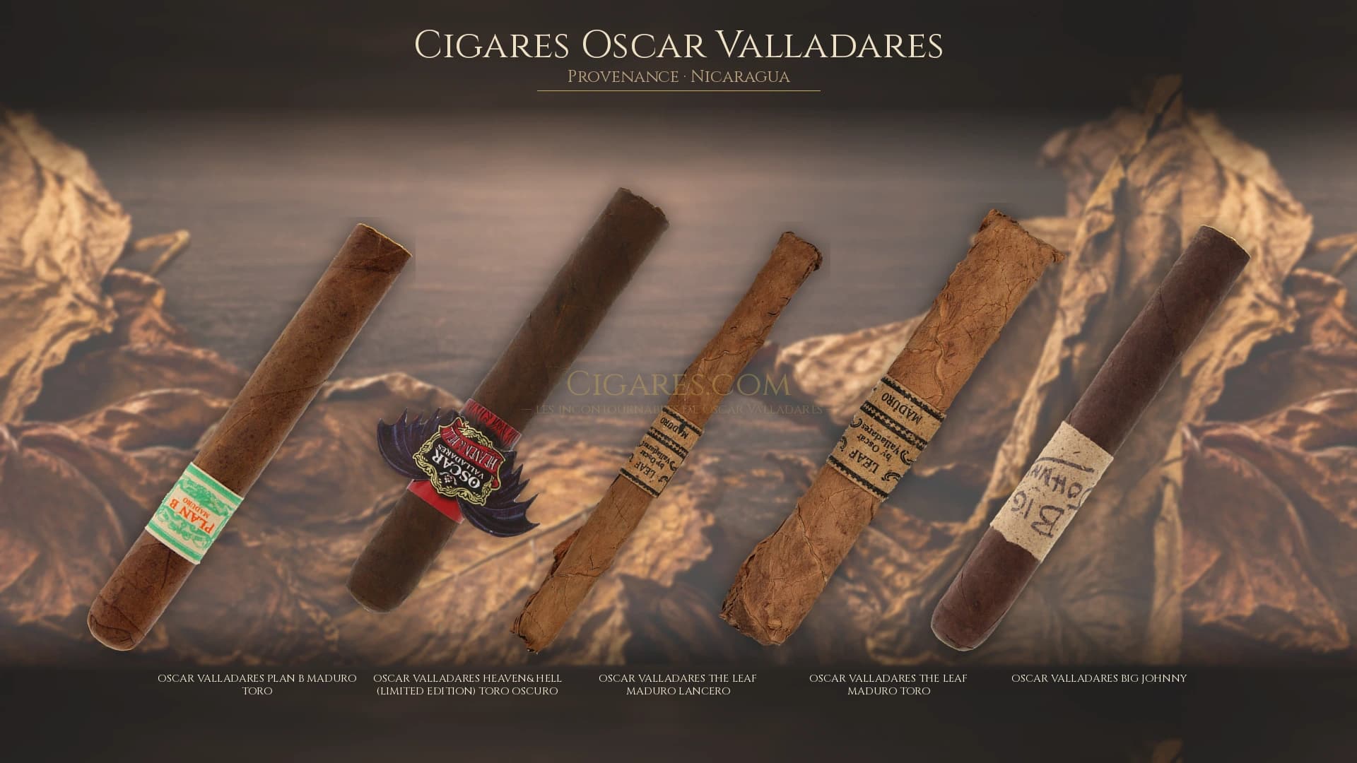 Top cigares Oscar Valladares Nicaragua — les plus populaires