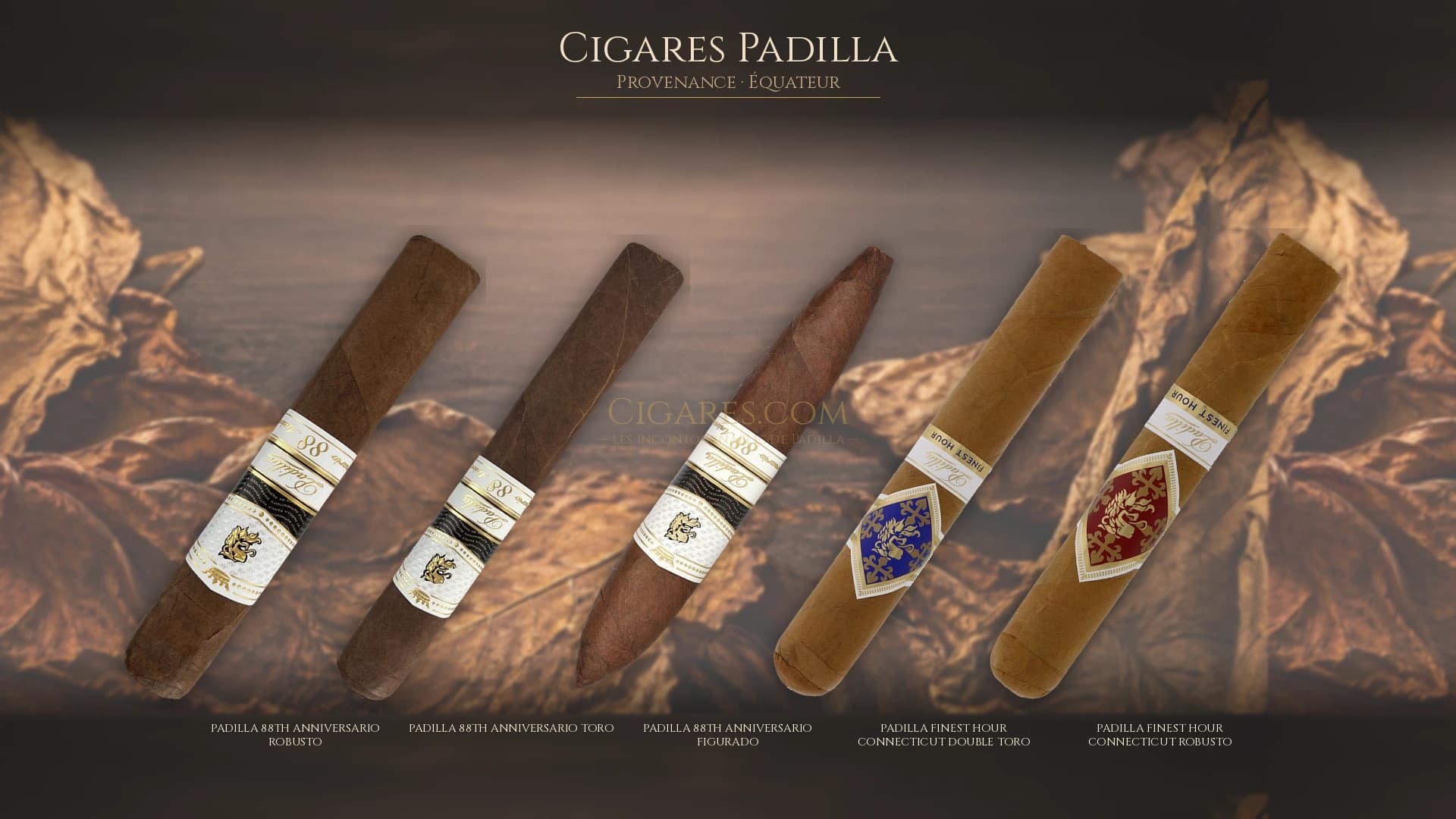 Top cigares Padilla Equateur — les plus populaires
