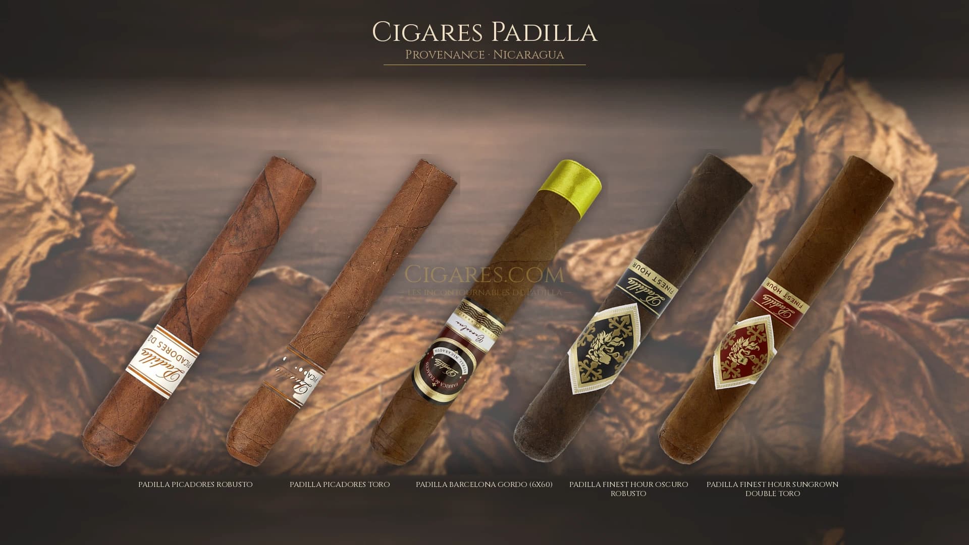 Top cigares Padilla Nicaragua — les plus populaires