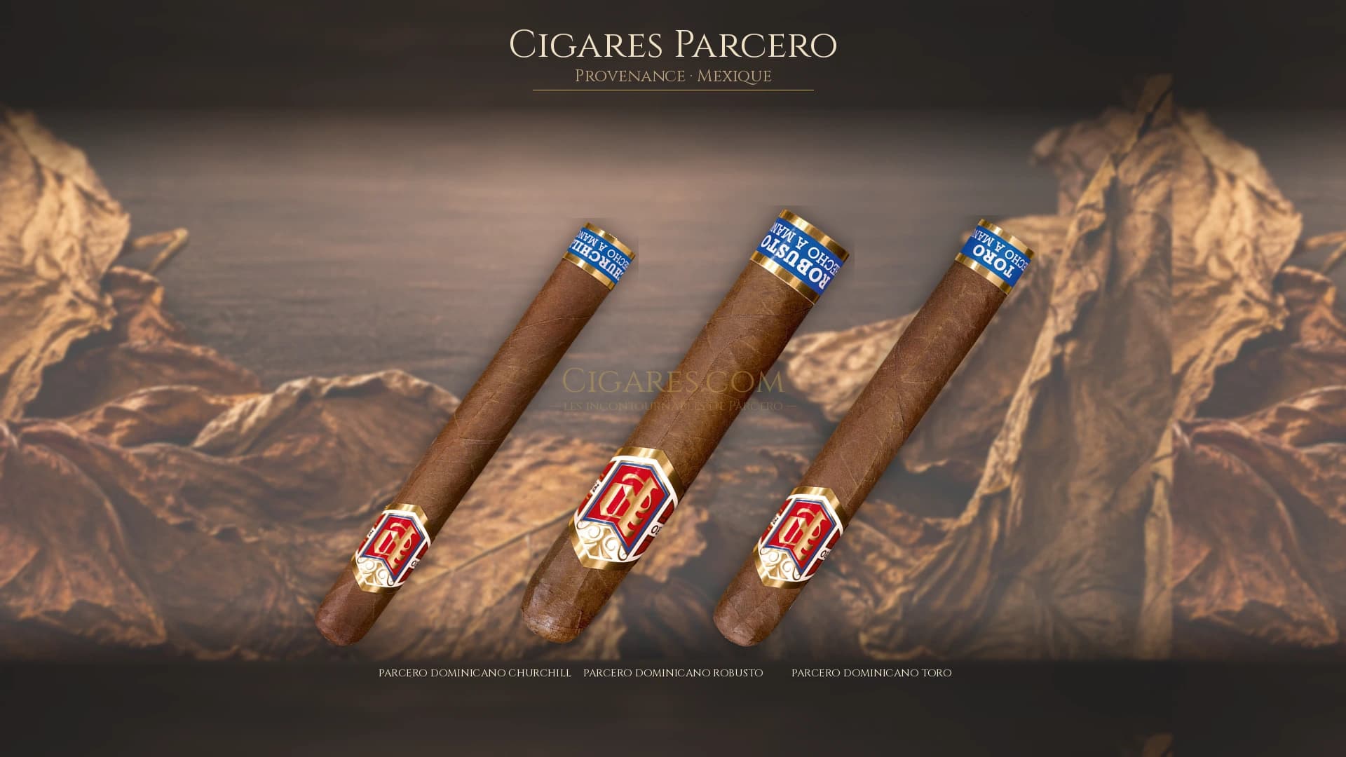 Top cigares Parcero Mexique — les plus populaires