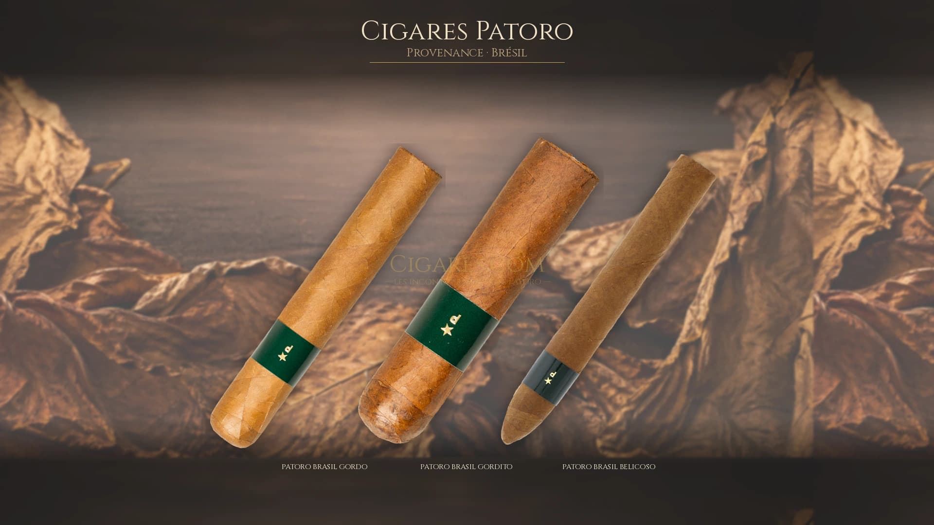 Top cigares Patoro Bresil — les plus populaires