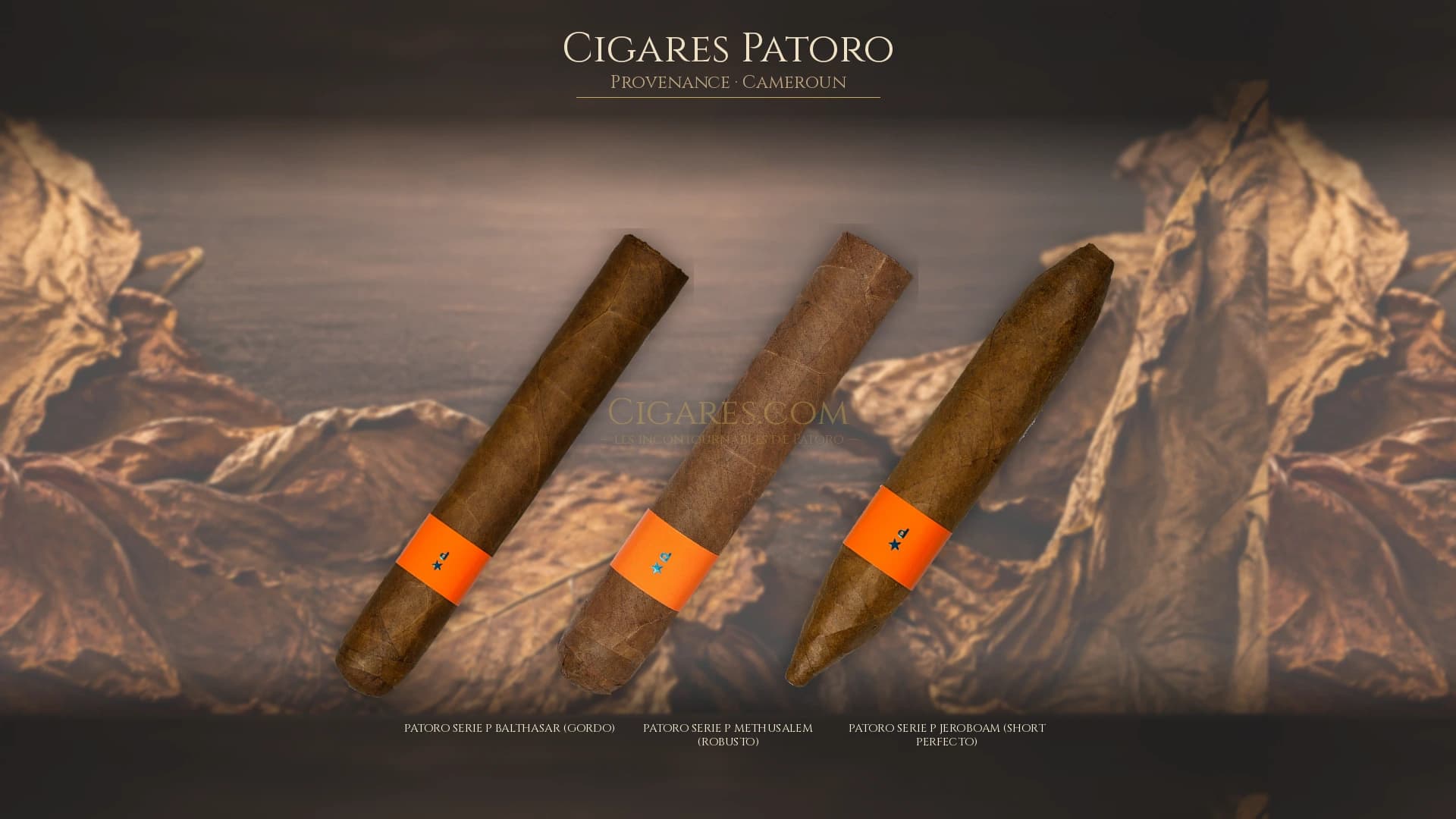 Top cigares Patoro Cameroun — les plus populaires
