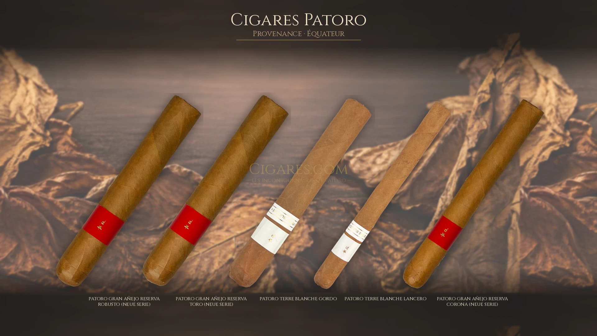 Top cigares Patoro Equateur — les plus populaires