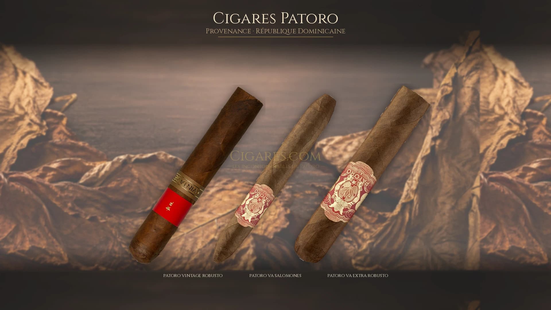 Top cigares Patoro Republique Dominicaine — les plus populaires