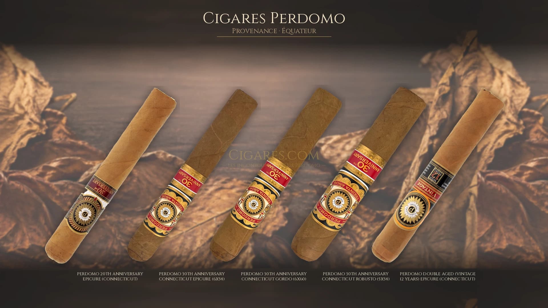 Top cigares Perdomo Equateur — les plus populaires