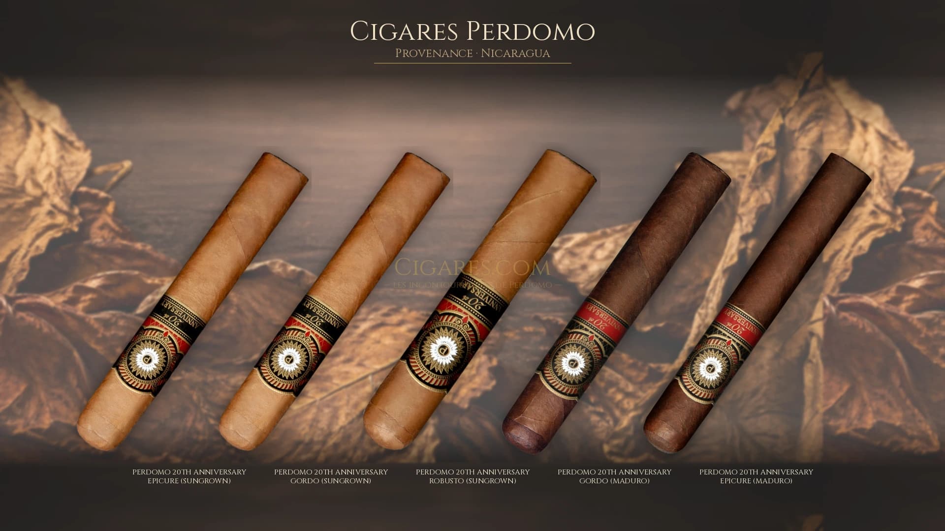 Top cigares Perdomo Nicaragua — les plus populaires