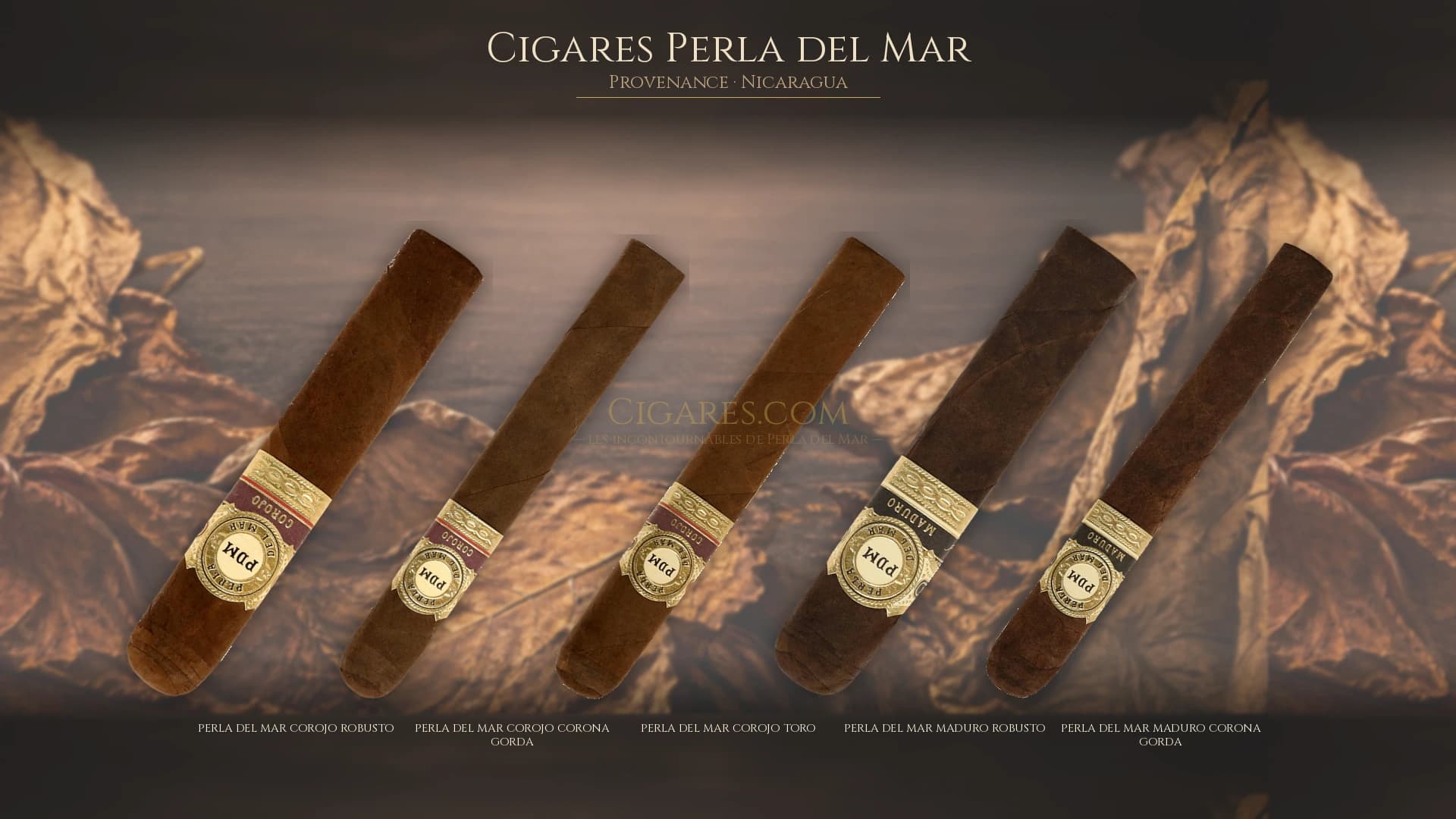 Top cigares Perla del Mar Nicaragua — les plus populaires