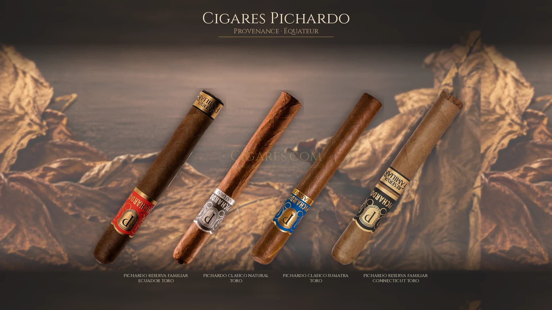 Top cigares Pichardo Equateur — les plus populaires