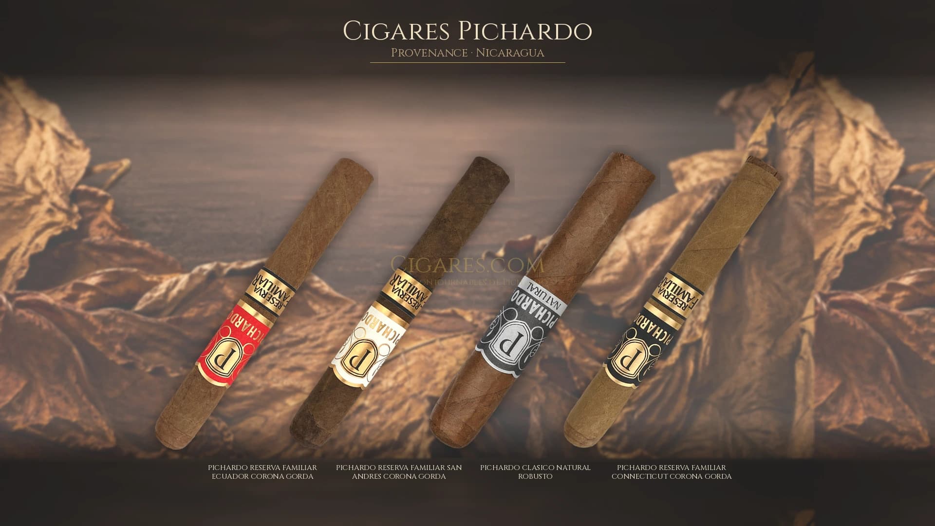 Top cigares Pichardo Nicaragua — les plus populaires