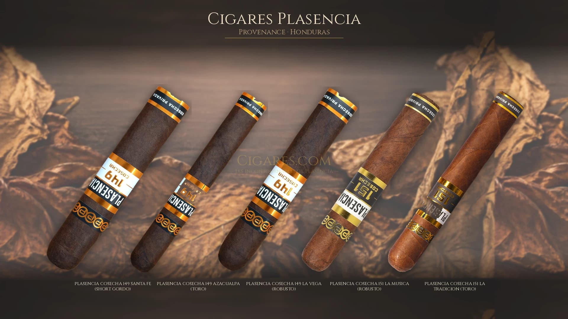 Top cigares Plasencia Honduras — les plus populaires