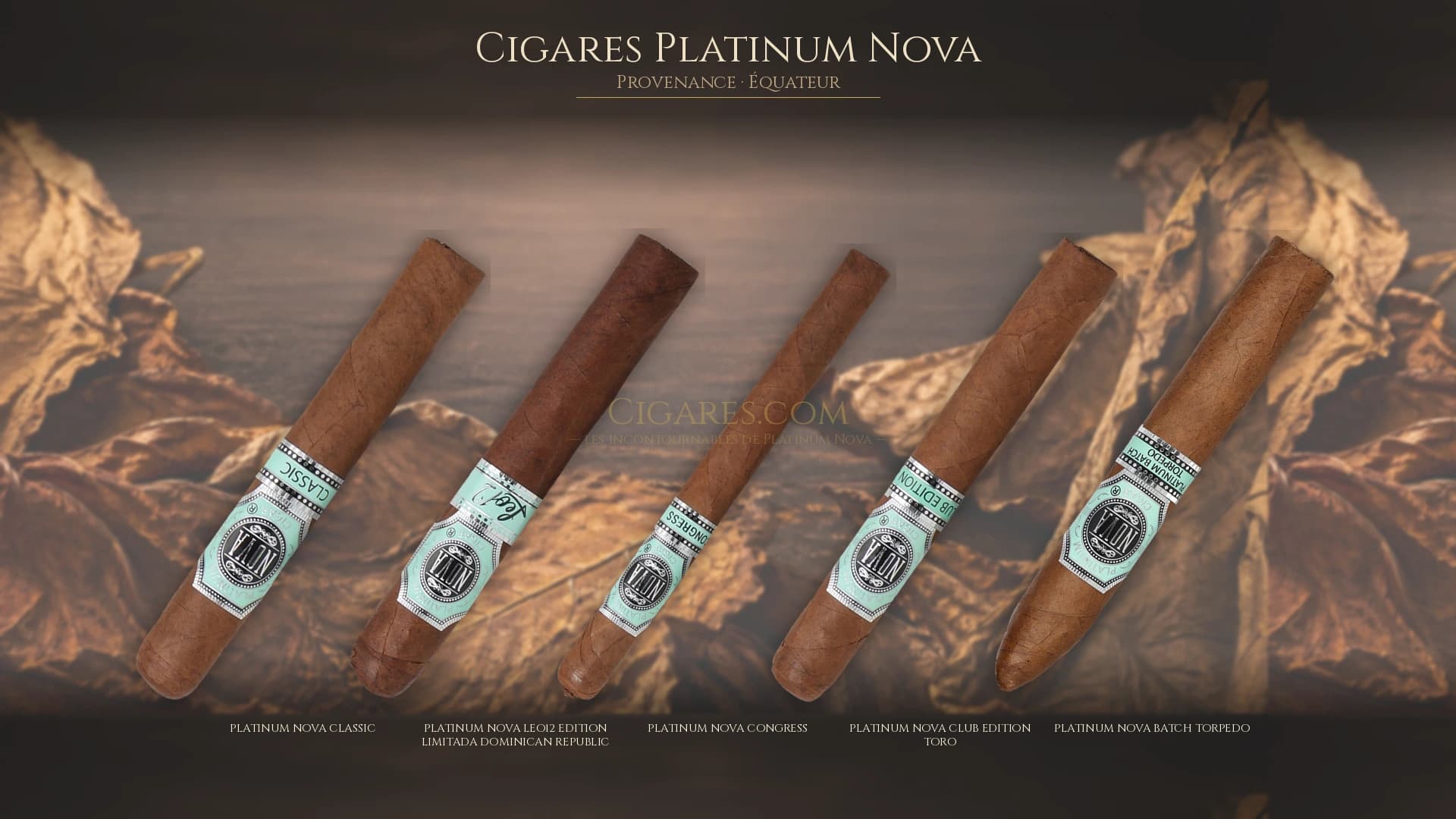 Top cigares Platinum Nova Equateur — les plus populaires