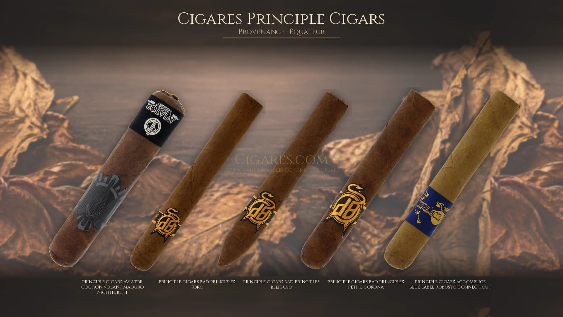 Top cigares Principle Cigars Equateur — les plus populaires