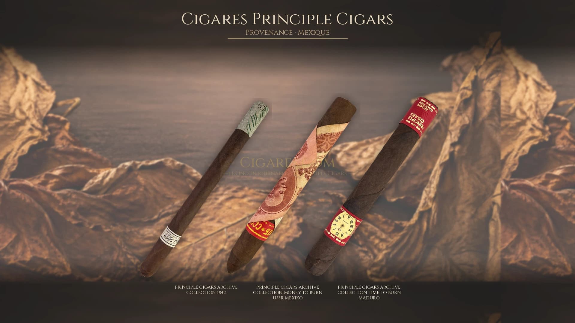 Top cigares Principle Cigars Mexique — les plus populaires