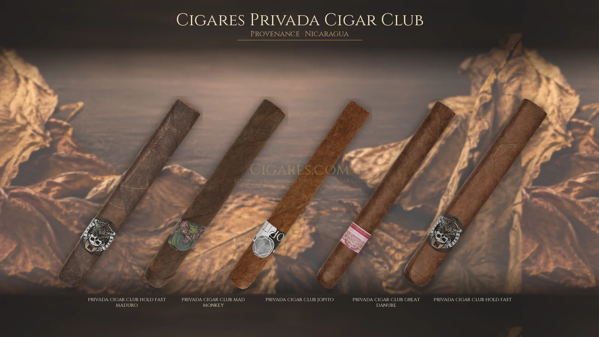 Top cigares Privada Cigar Club Nicaragua — les plus populaires