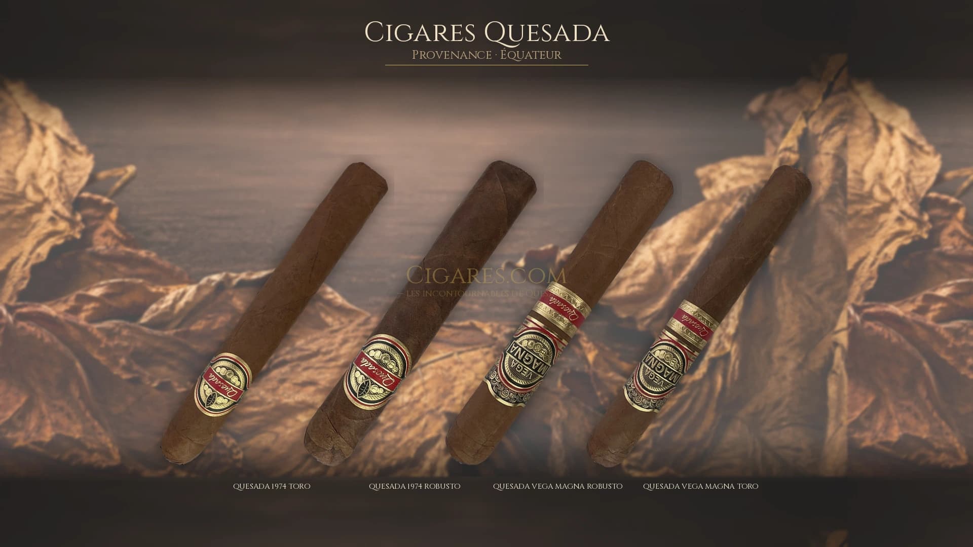 Top cigares Quesada Equateur — les plus populaires