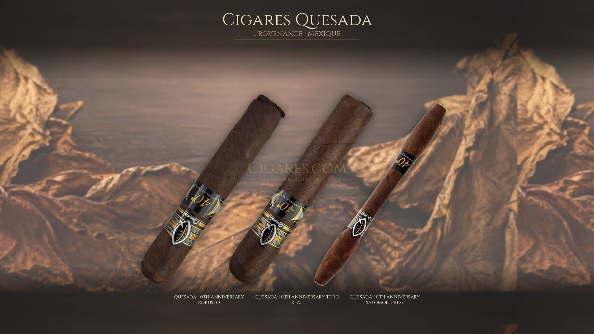 Top cigares Quesada Mexique — les plus populaires
