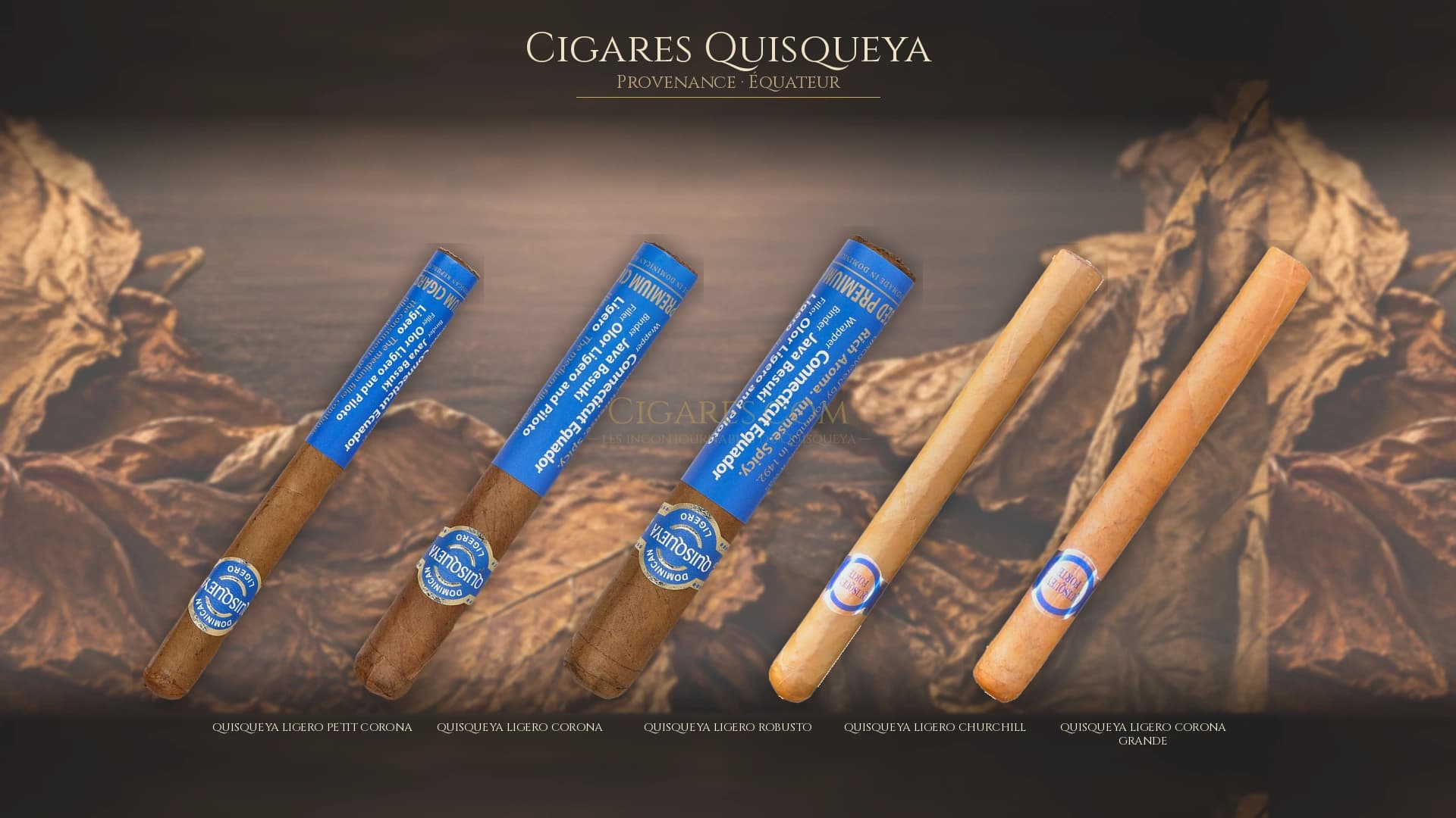 Top cigares Quisqueya Equateur — les plus populaires