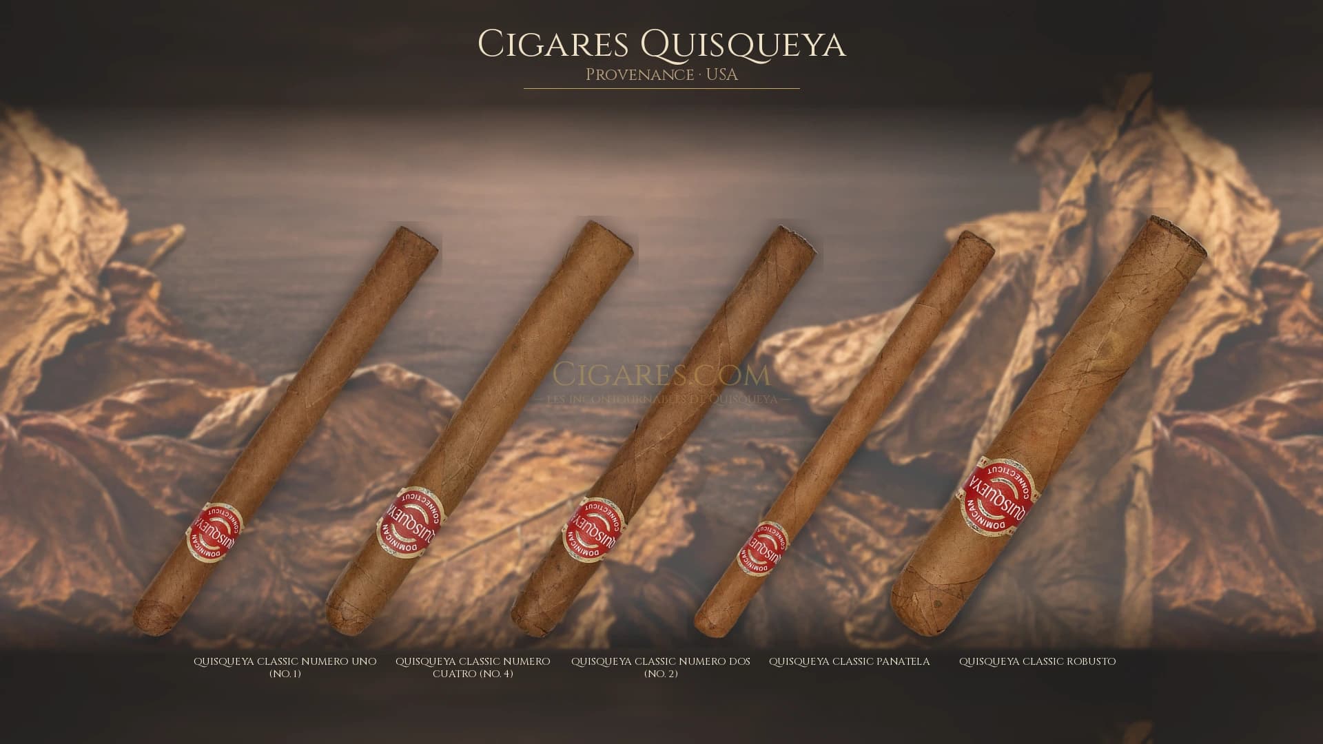 Top cigares Quisqueya Usa — les plus populaires