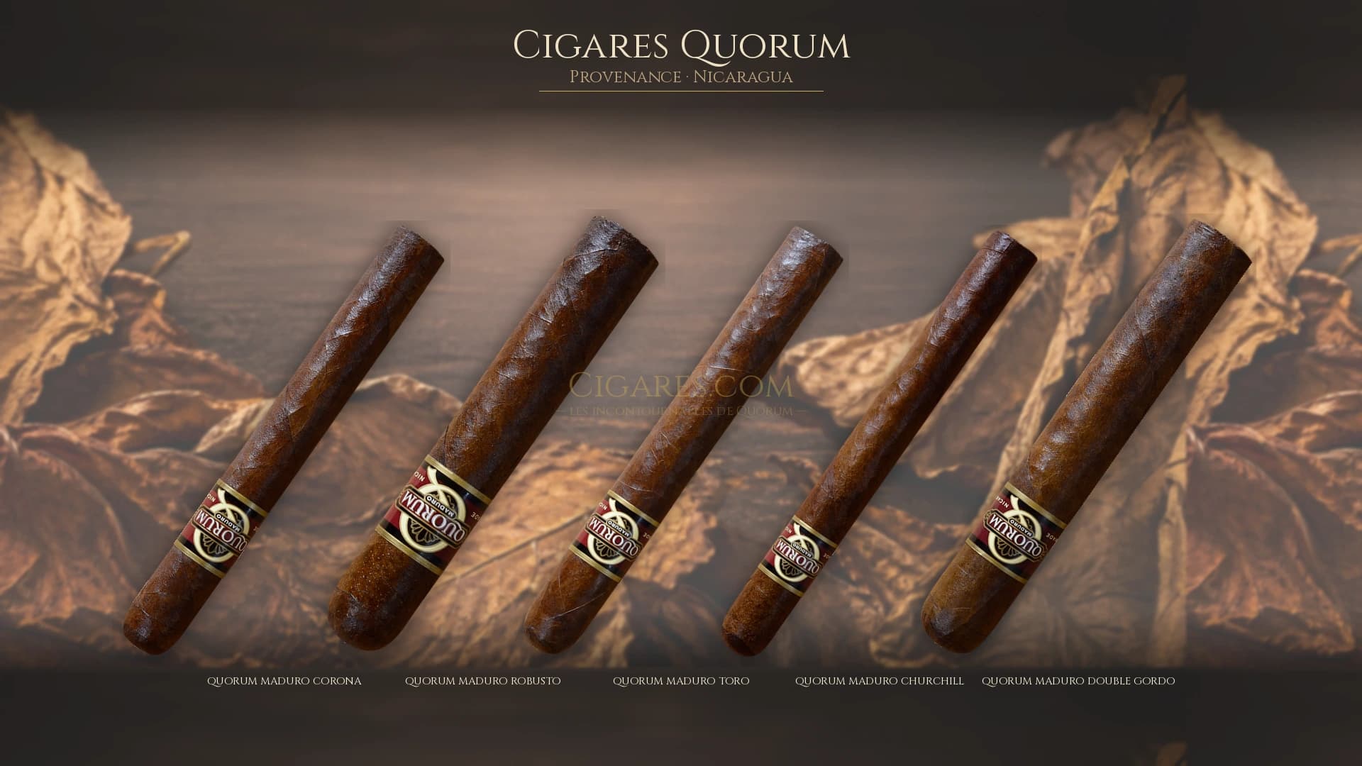 Top cigares Quorum Nicaragua — les plus populaires