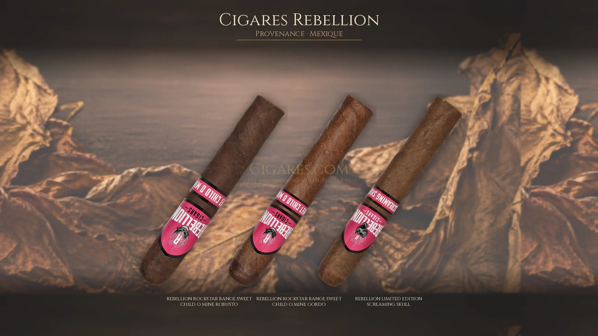 Top cigares Rebellion Mexique — les plus populaires