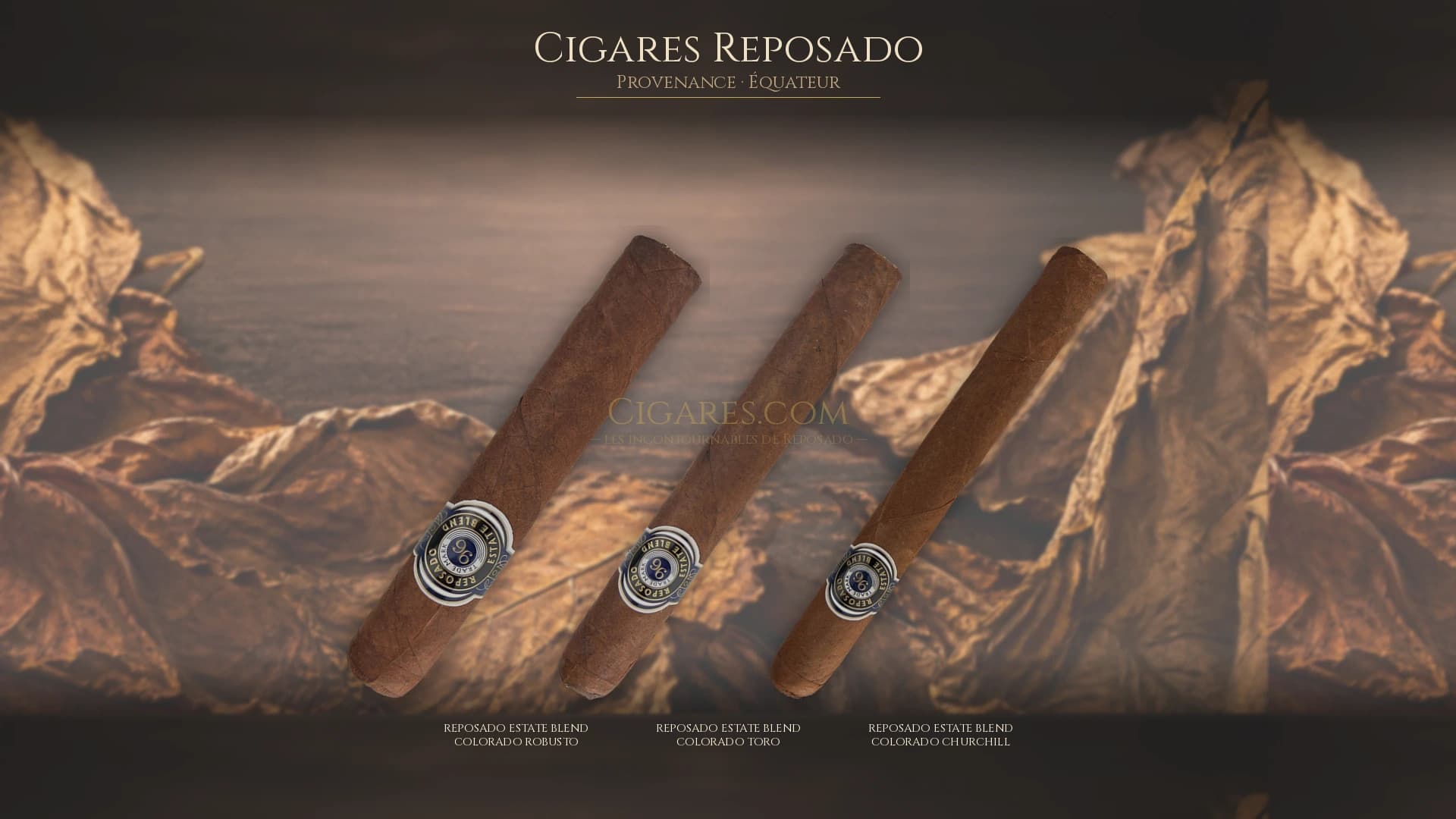 Top cigares Reposado Equateur — les plus populaires