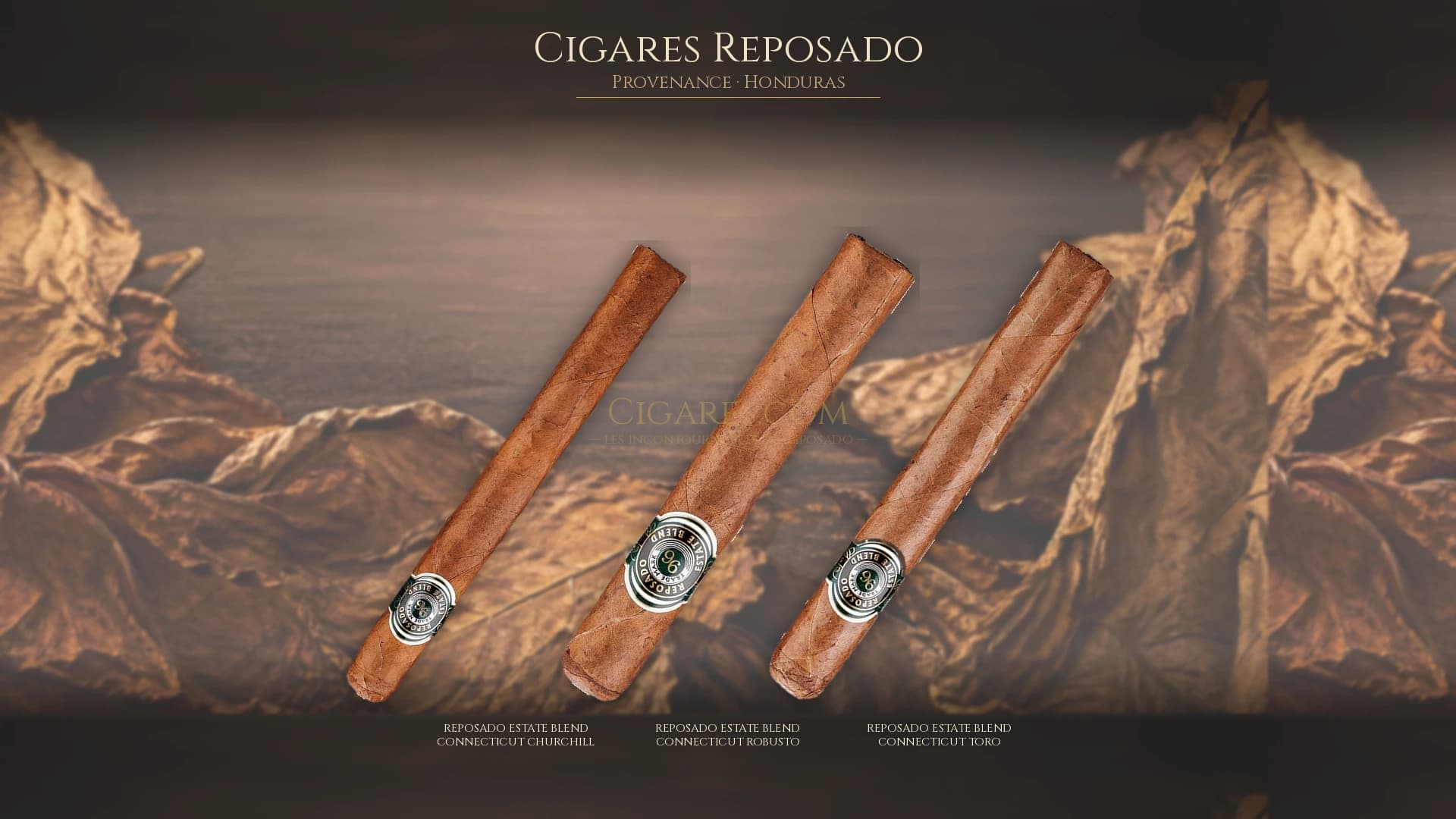 Top cigares Reposado Honduras — les plus populaires