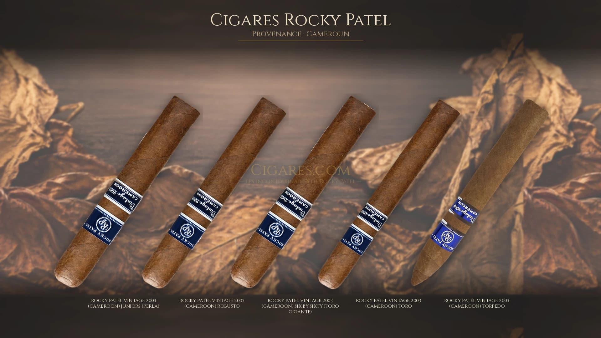 Top cigares Rocky Patel Cameroun — les plus populaires