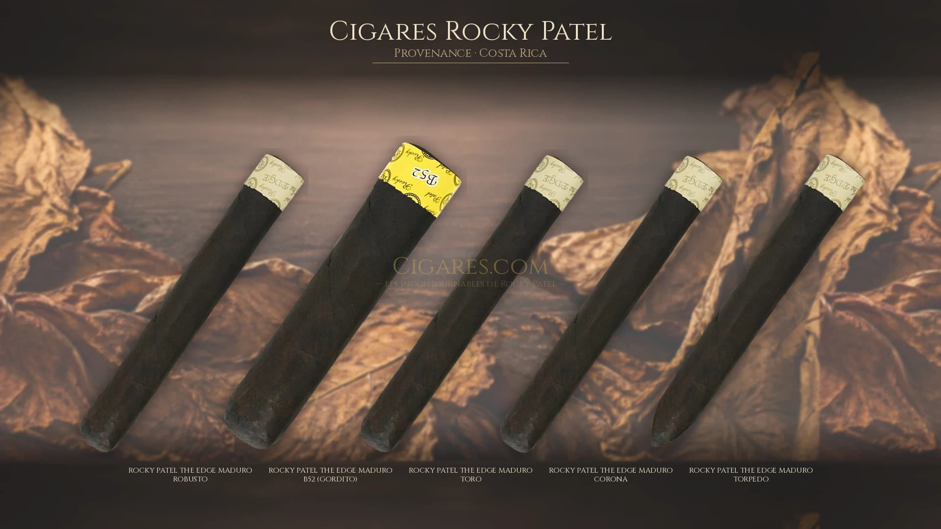 Top cigares Rocky Patel Costa Rica — les plus populaires