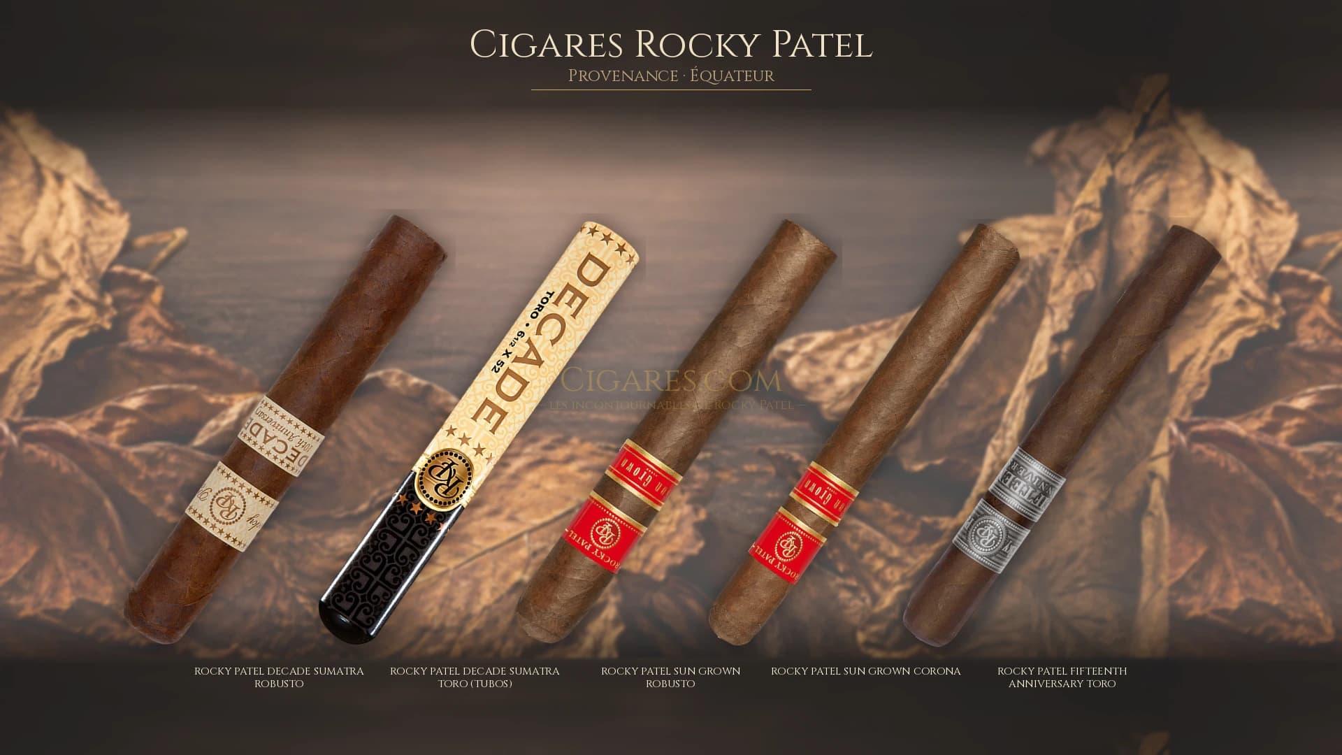 Top cigares Rocky Patel Equateur — les plus populaires