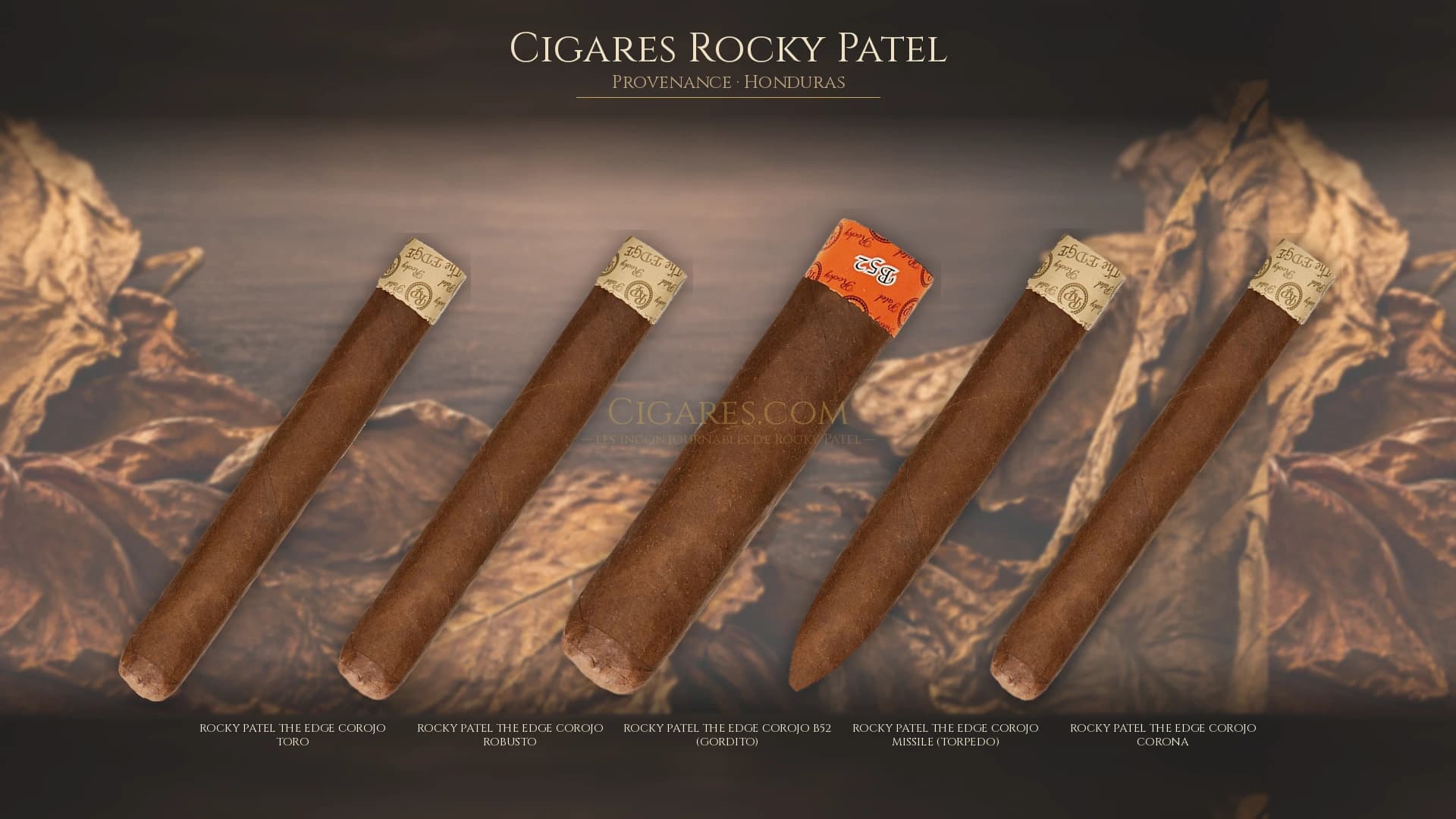 Top cigares Rocky Patel Honduras — les plus populaires
