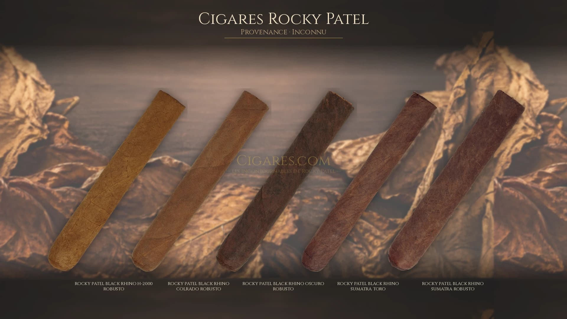 Top cigares Rocky Patel Inconnu — les plus populaires