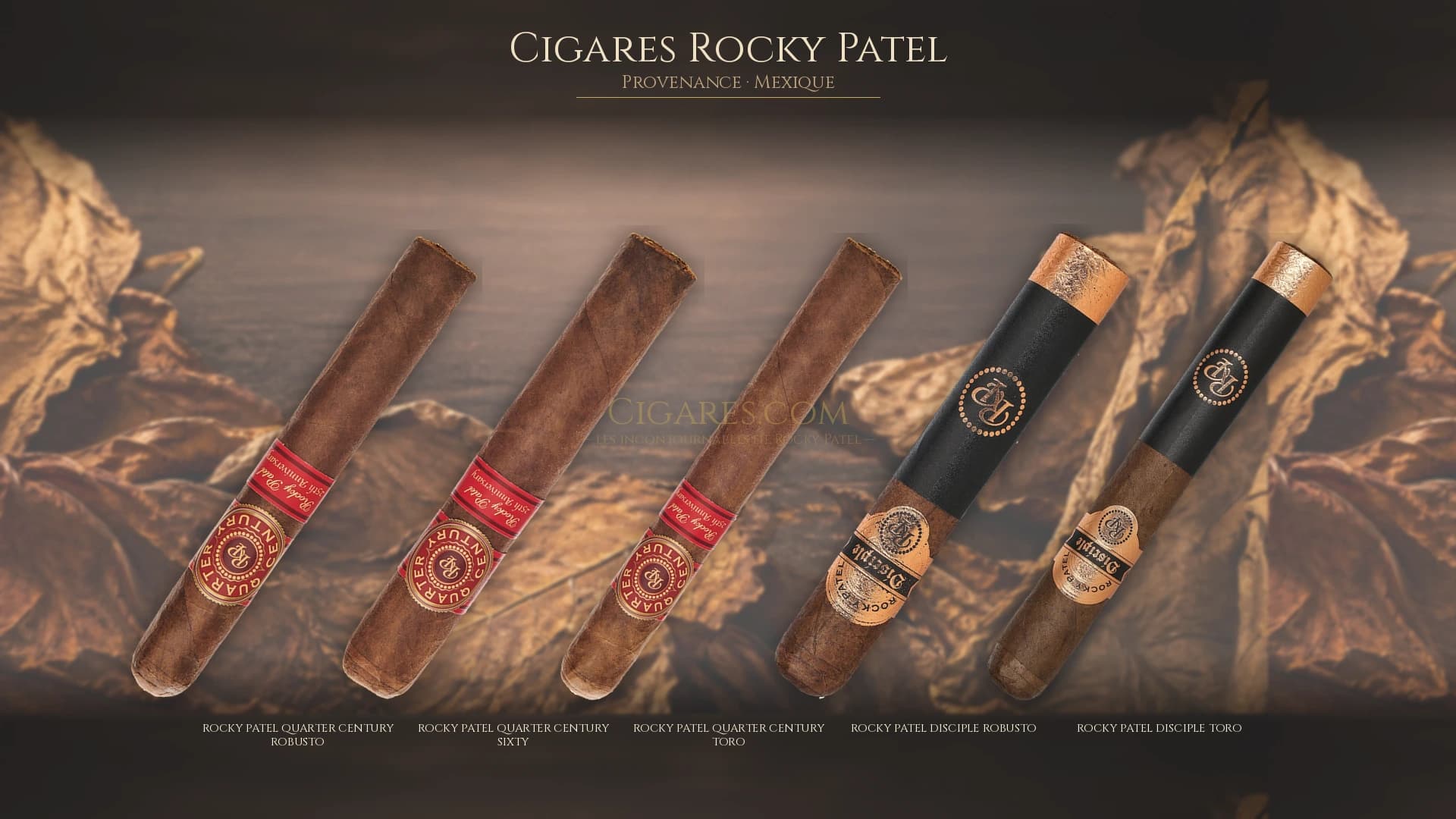 Top cigares Rocky Patel Mexique — les plus populaires