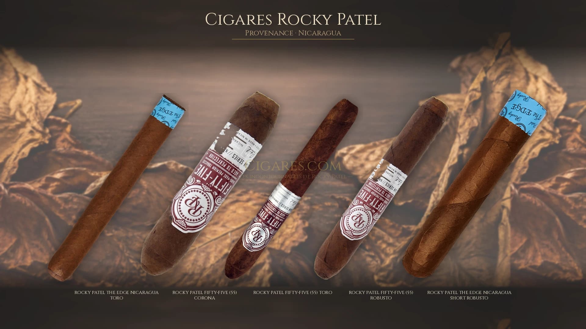 Top cigares Rocky Patel Nicaragua — les plus populaires