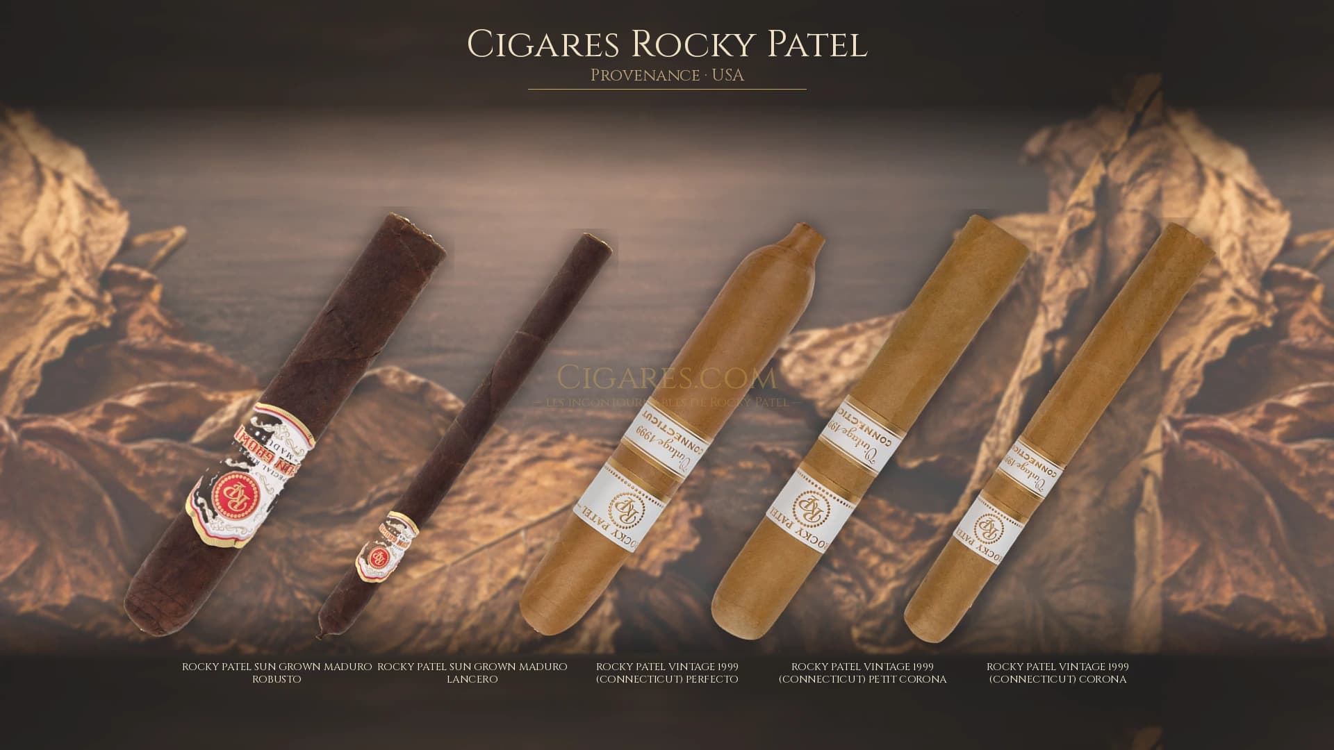 Top cigares Rocky Patel Usa — les plus populaires