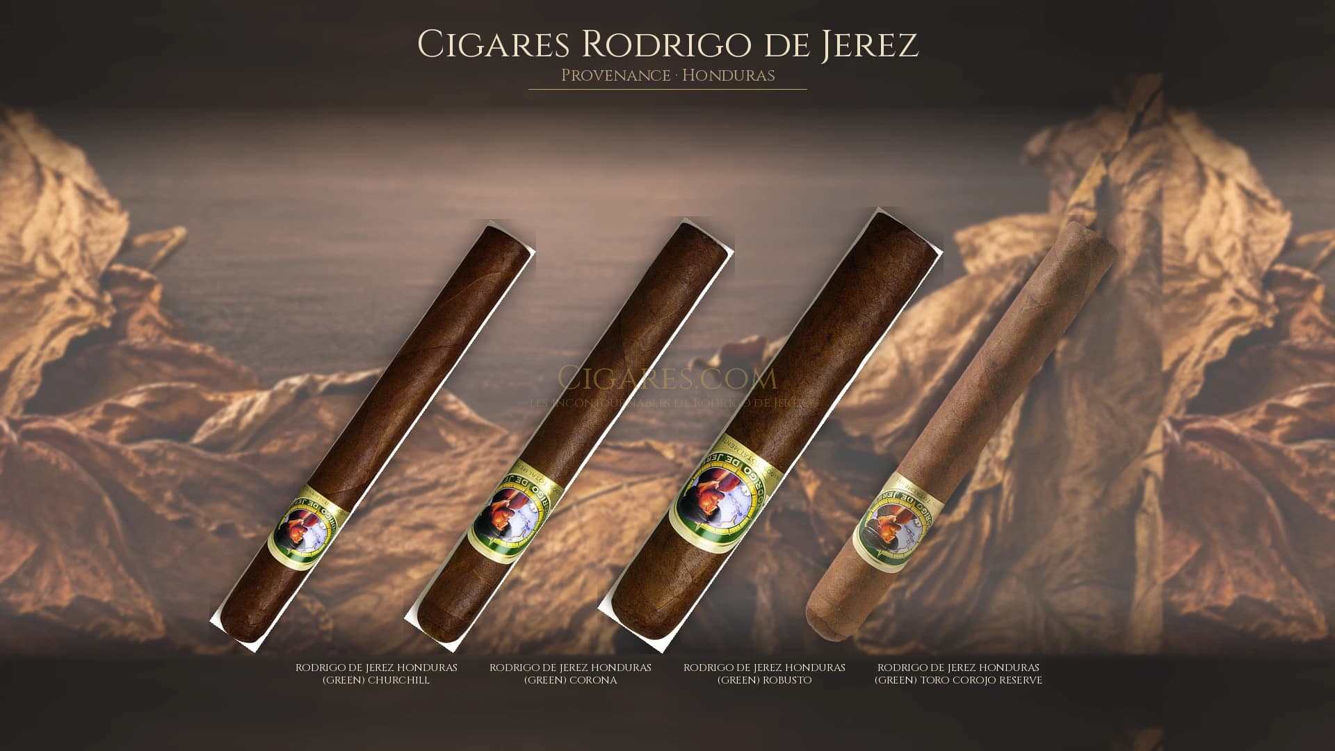 Top cigares Rodrigo de Jerez Honduras — les plus populaires