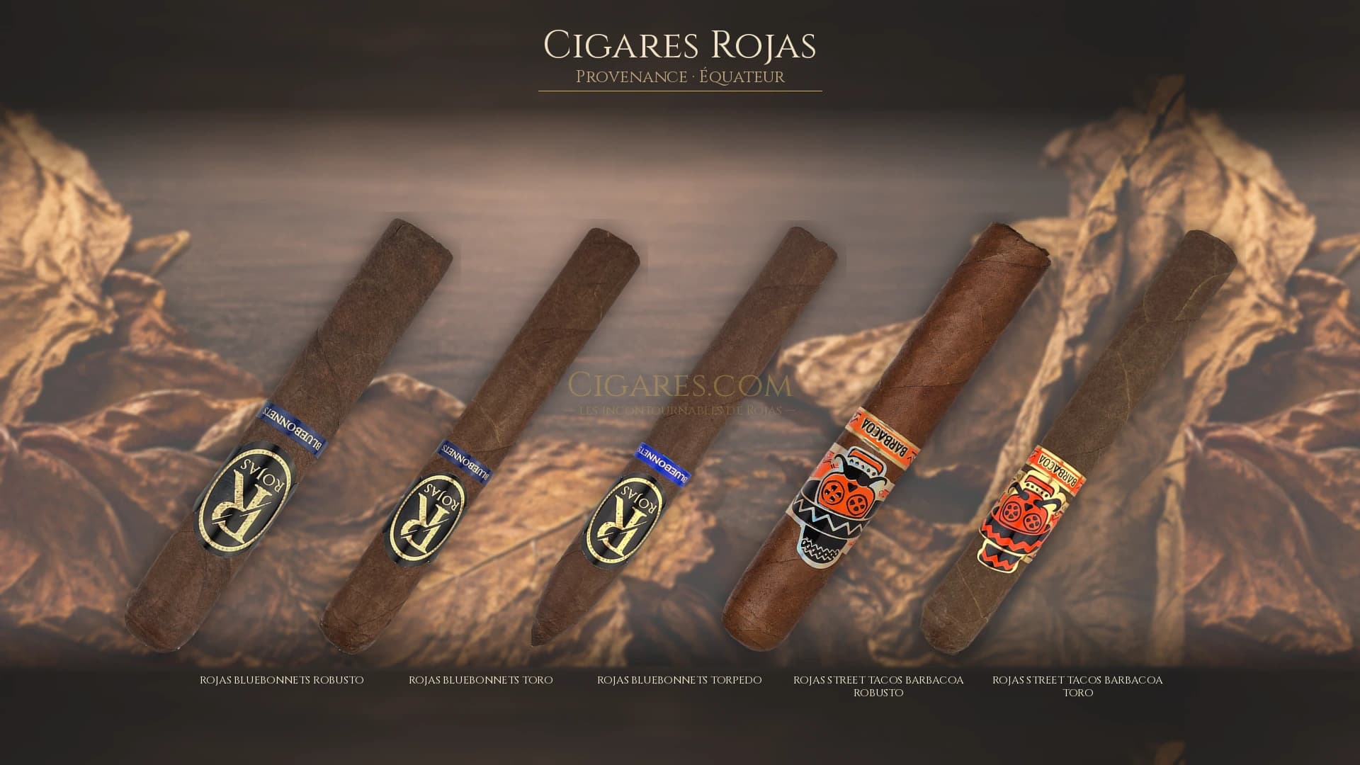 Top cigares Rojas Equateur — les plus populaires