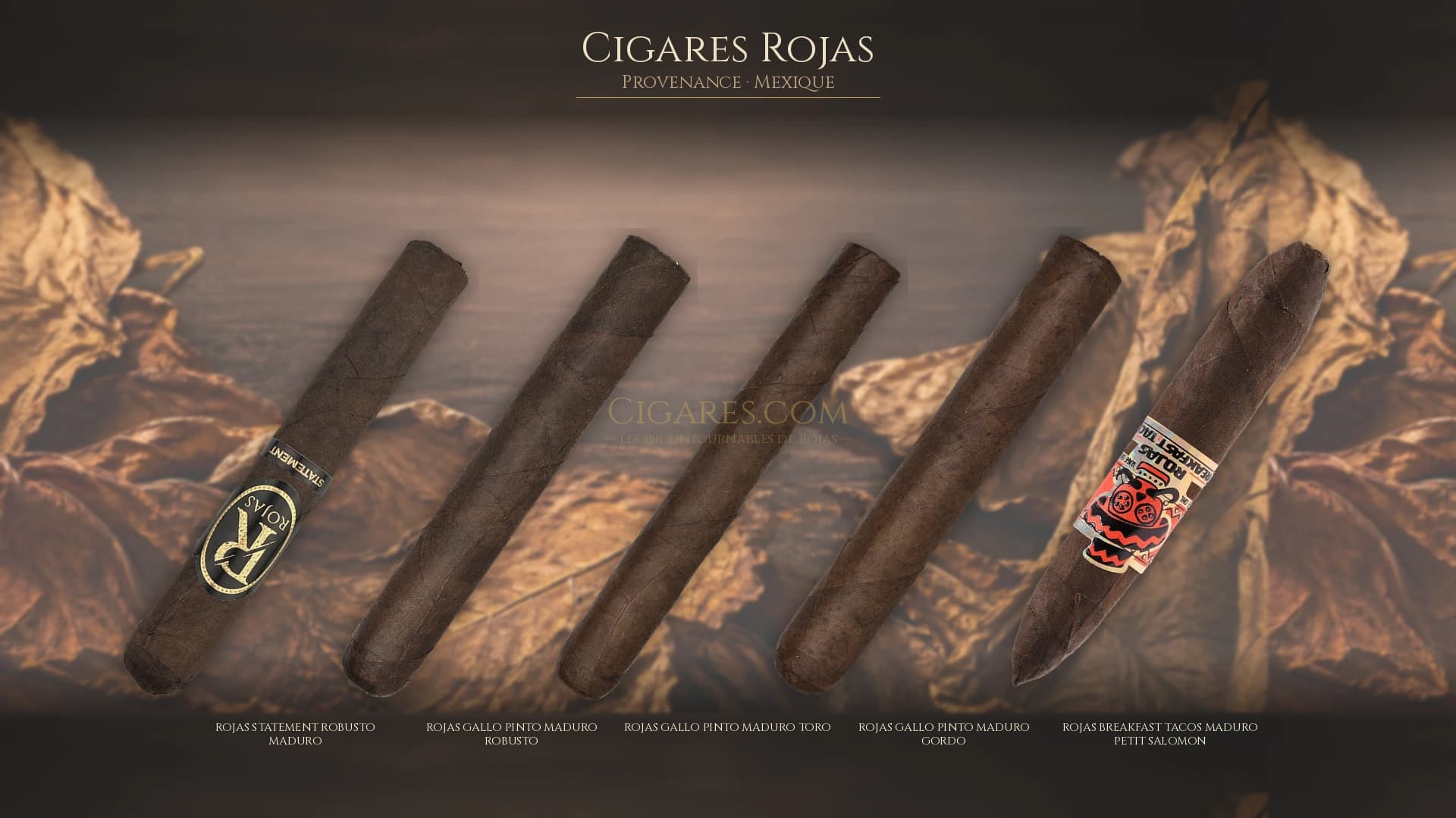 Top cigares Rojas Mexique — les plus populaires