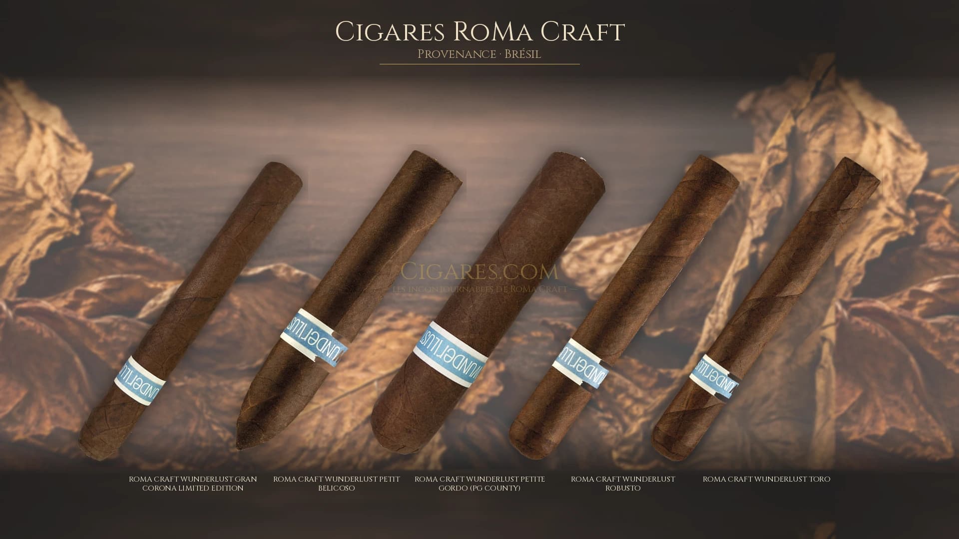 Top cigares RoMa Craft Bresil — les plus populaires