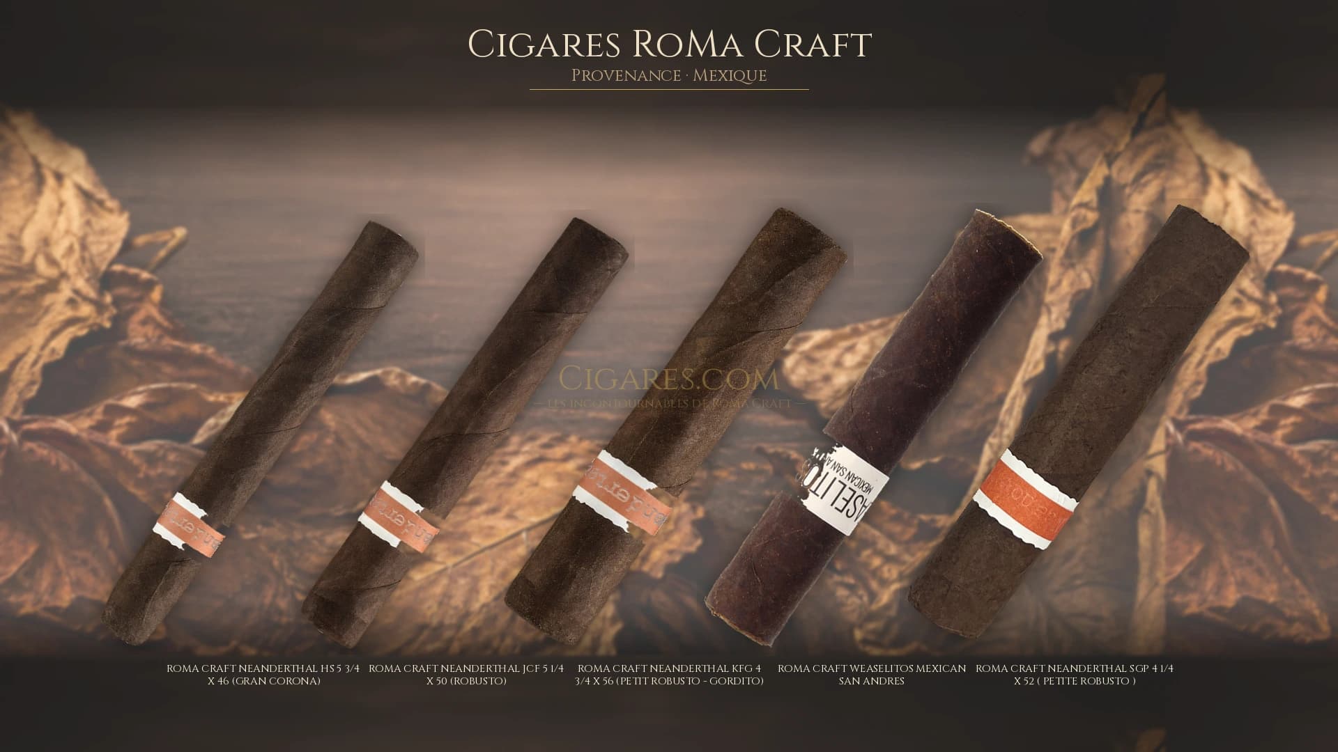 Top cigares RoMa Craft Mexique — les plus populaires