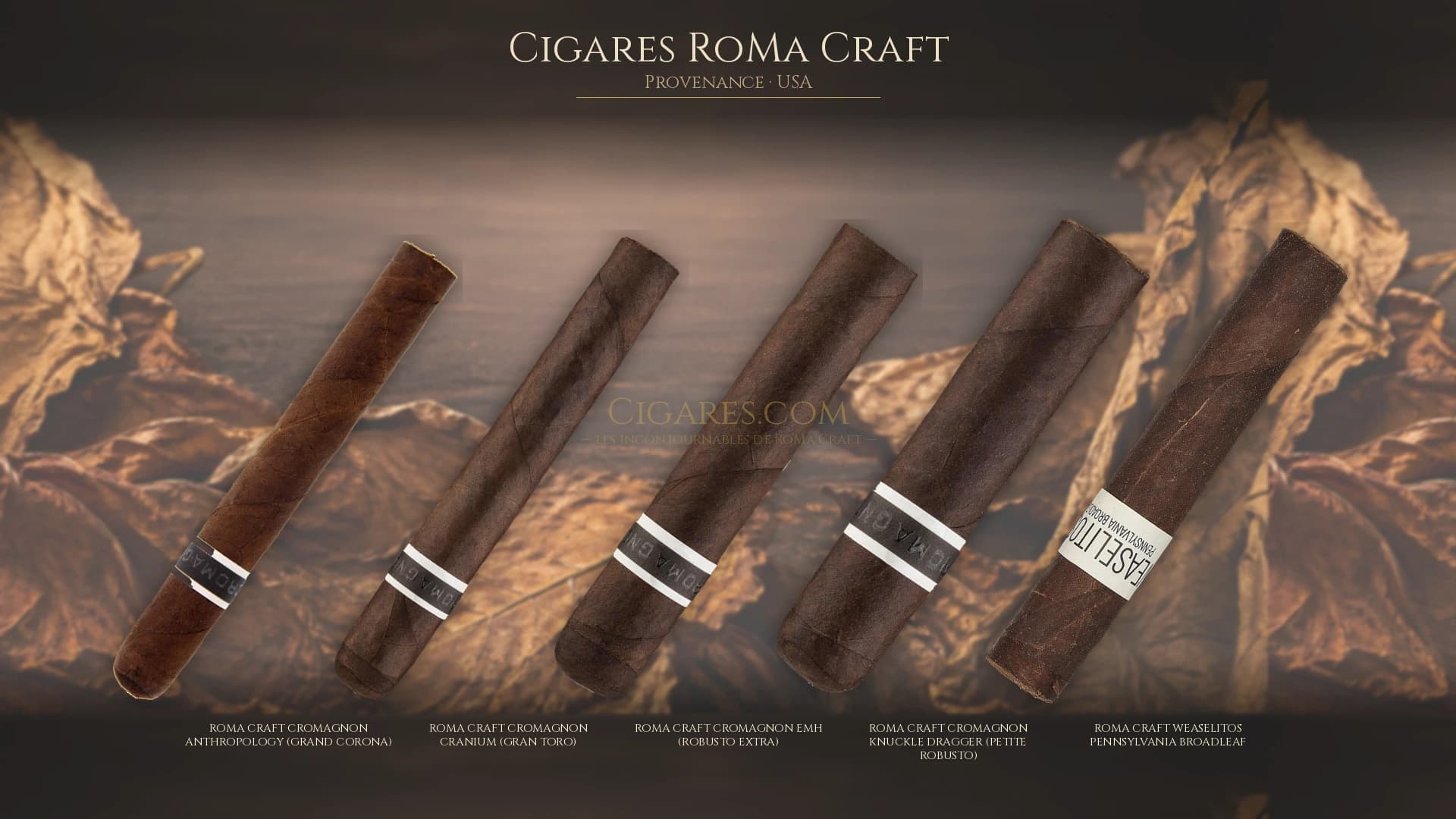 Top cigares RoMa Craft Usa — les plus populaires
