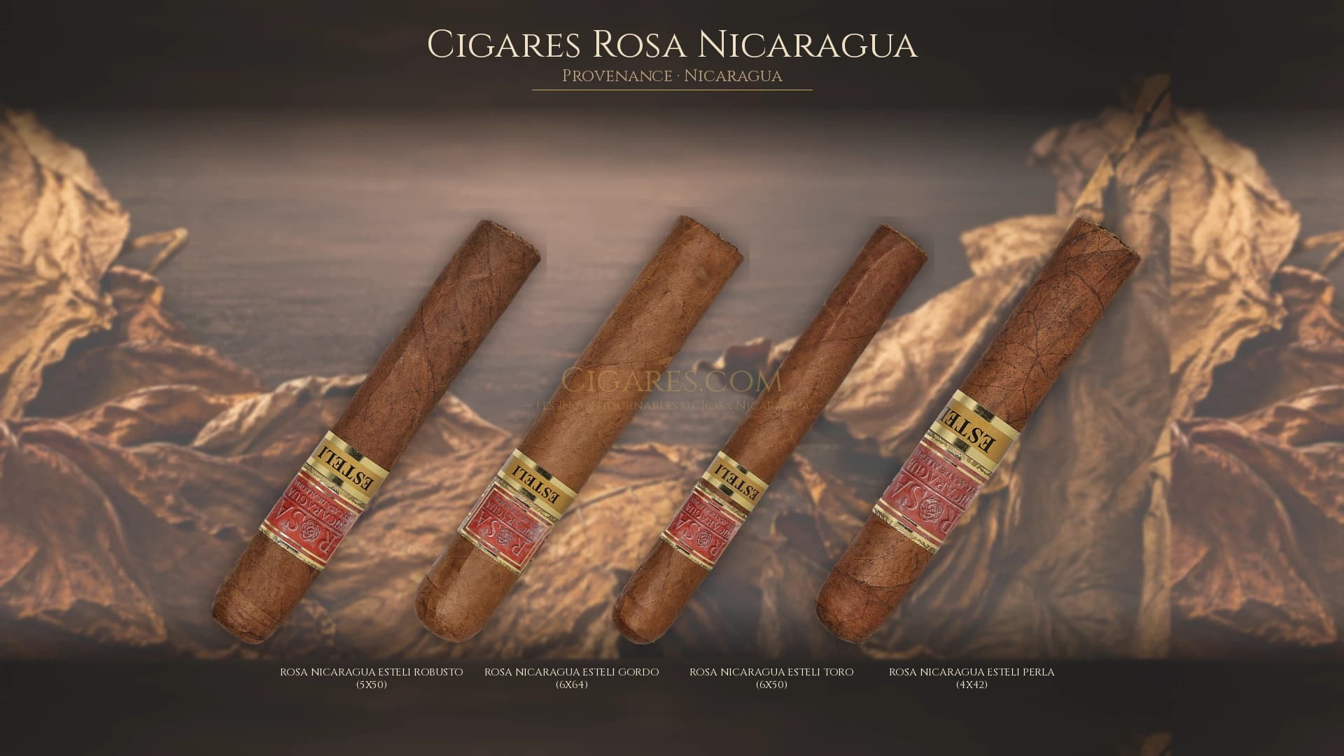 Top cigares Rosa Nicaragua Nicaragua — les plus populaires