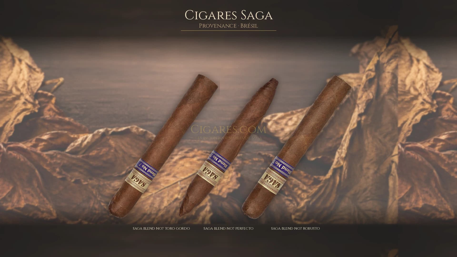 Top cigares Saga Bresil — les plus populaires