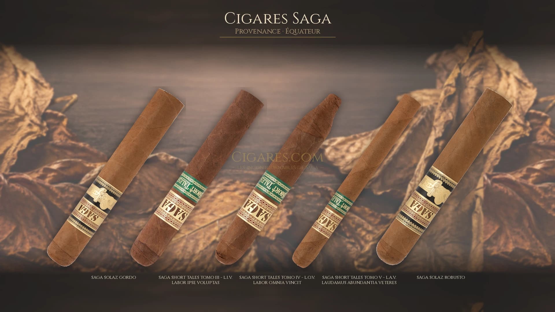 Top cigares Saga Equateur — les plus populaires