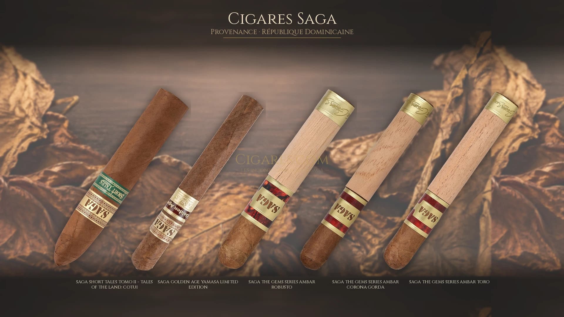 Top cigares Saga Republique Dominicaine — les plus populaires